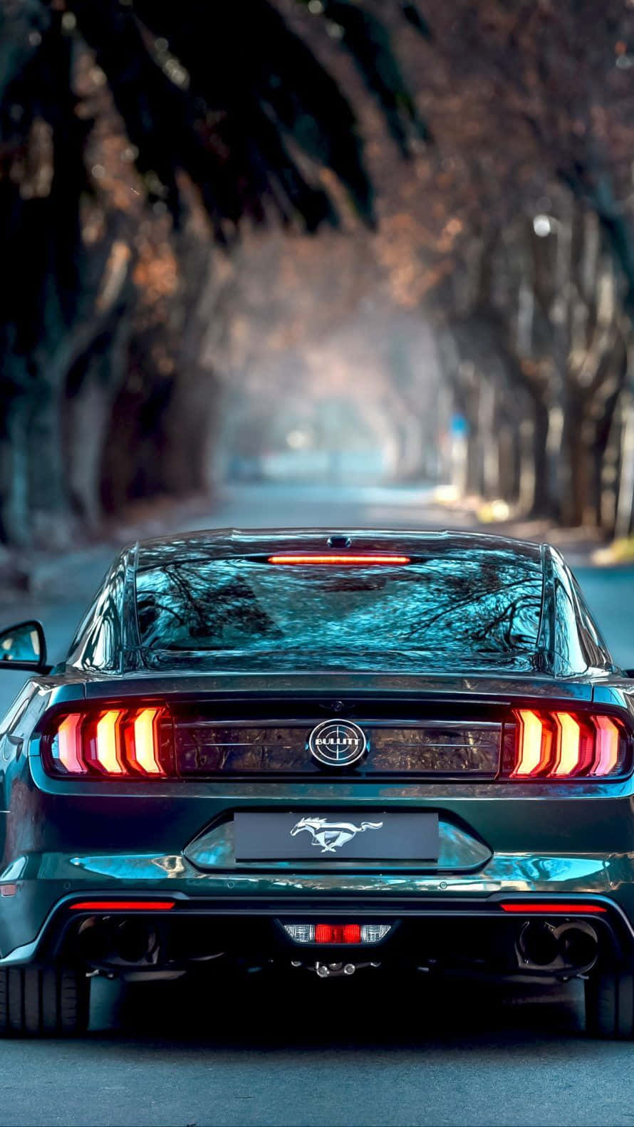 Take A Mustang Ride Background