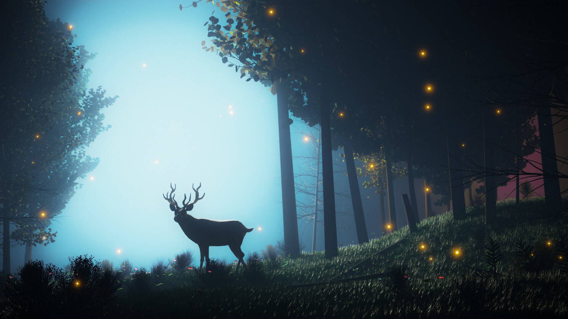 Take A Mystical Journey Into A Tranquil Forest Background