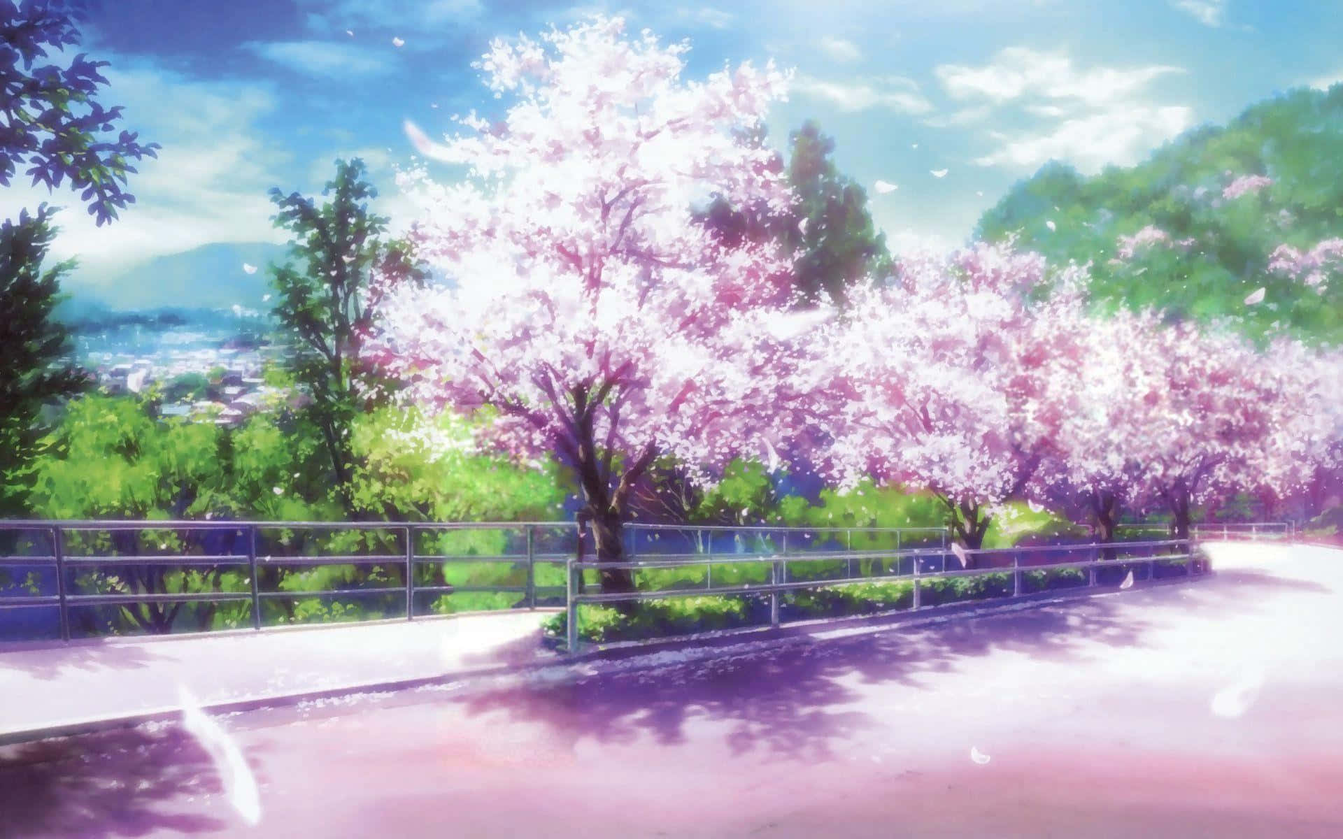 Take A Peaceful Stroll While Taking In The Beauty Of Cherry Blossom Trees In A Unique Anime Setting. Background