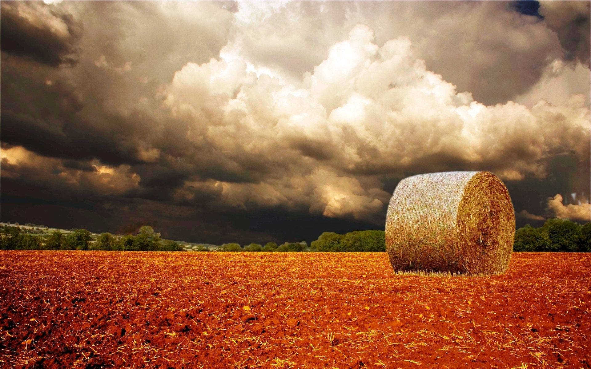 Take A Stroll Through The Beautiful And Rustic Fall Farm