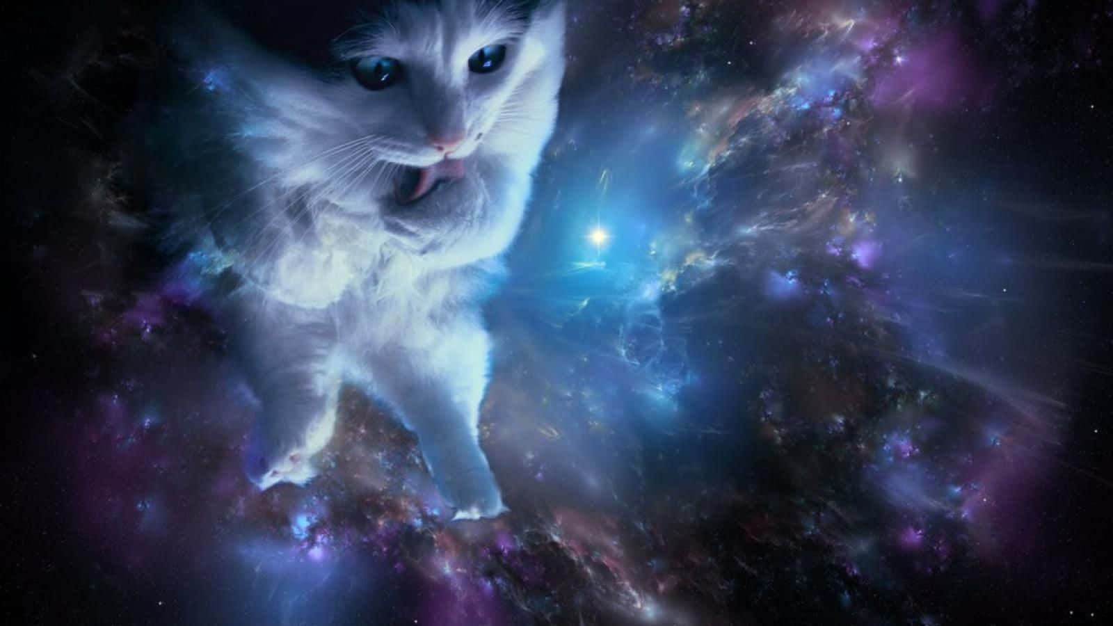 Take A Trip Of A Lifetime Exploring The Cool Animal Galaxy Background