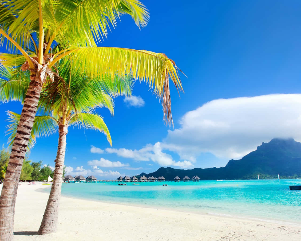 Take A Tropical Getaway In Magical Bora Bora Background