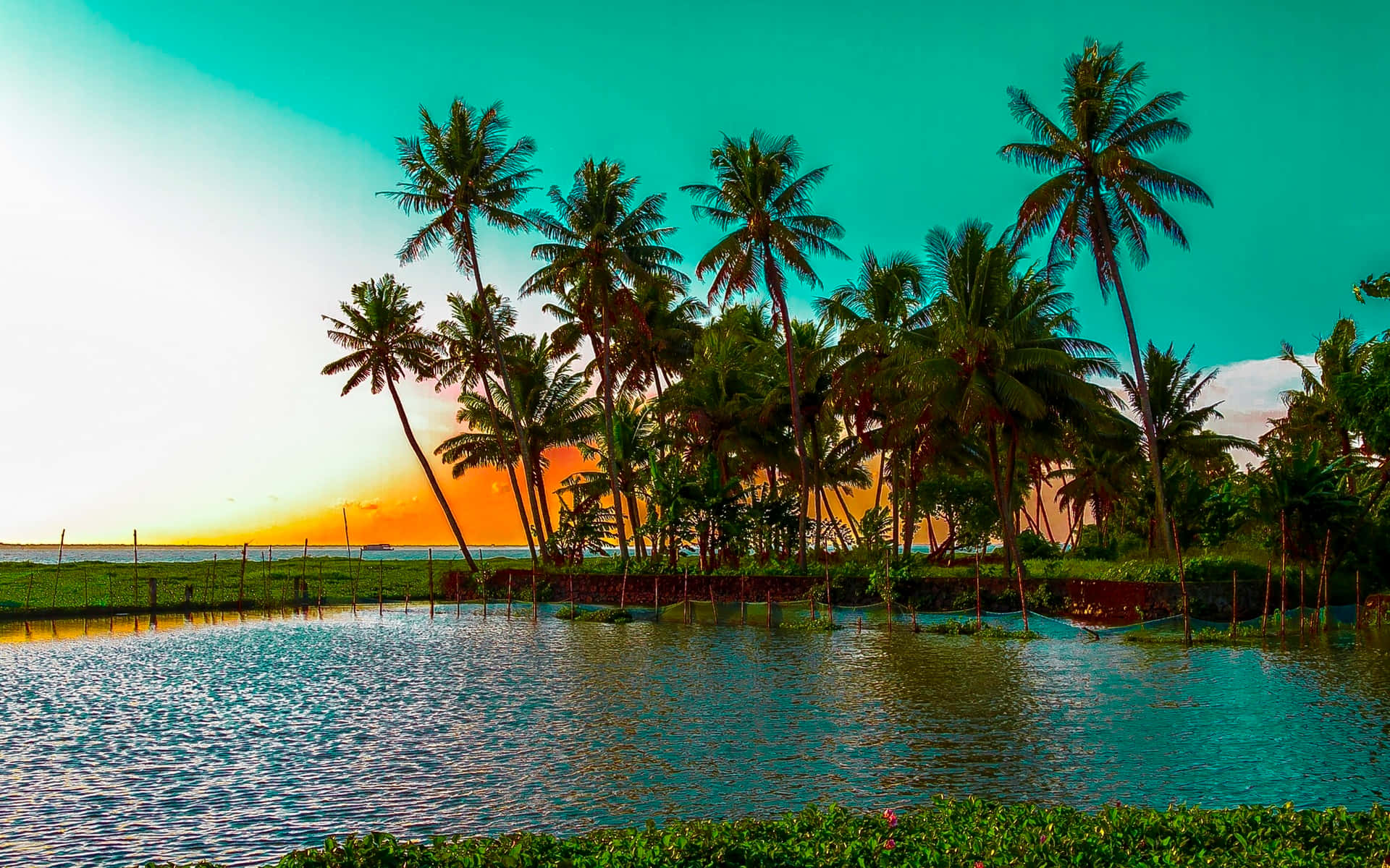 Take A Vacation To The Tropics Anytime With This Palm Tree Desktop Wallpaper Background