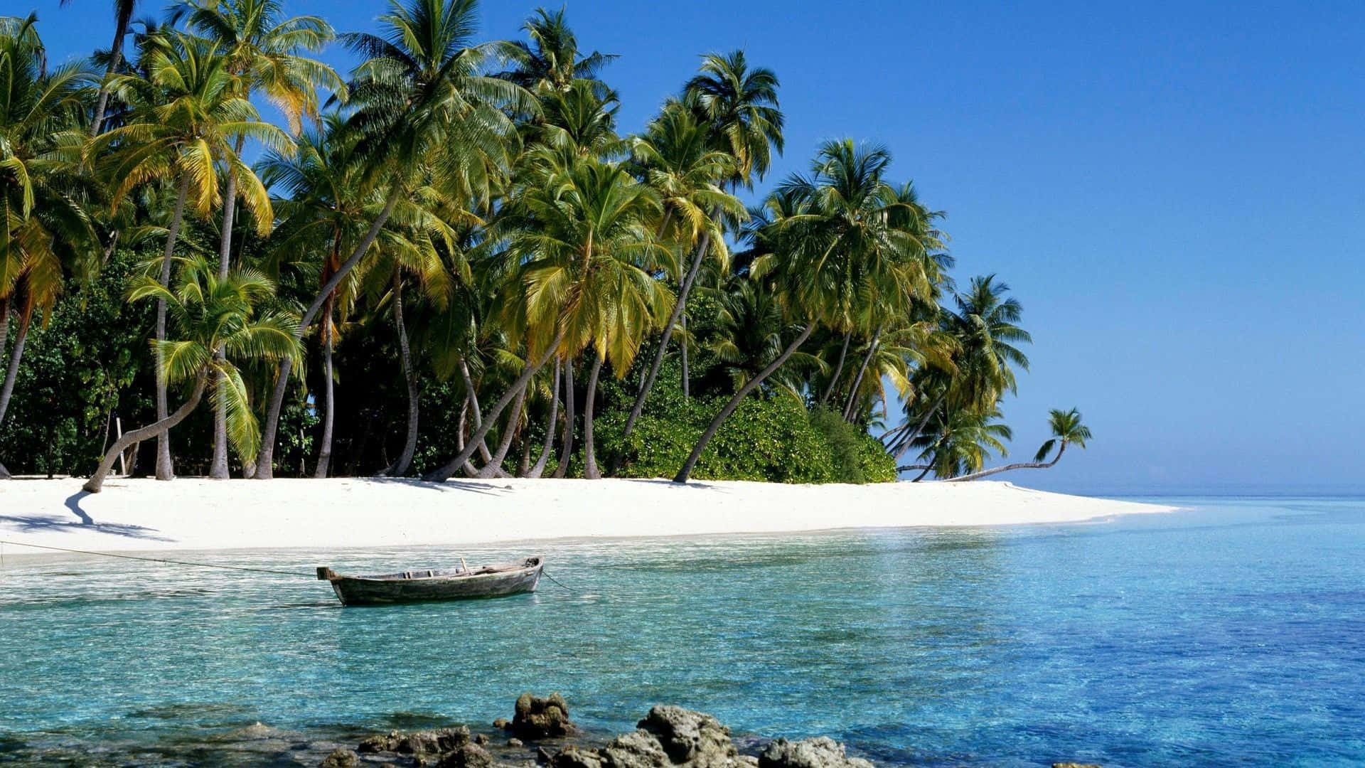 Take A Walk In Paradise.