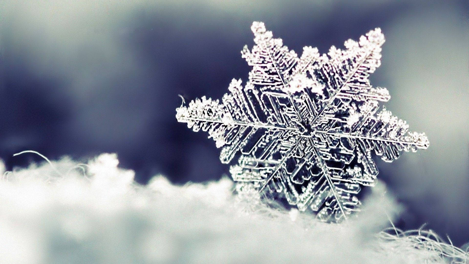 Take A Winter Break With A Beautiful Snow Desktop Wallpaper Background