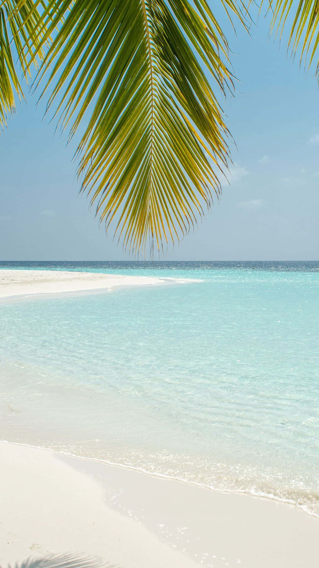 Take Advantage Of Beautiful Summer Days With Friends