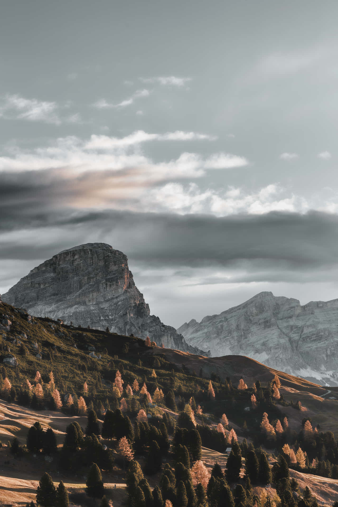 Take Amazing Photos With The New Calm Mobile Background