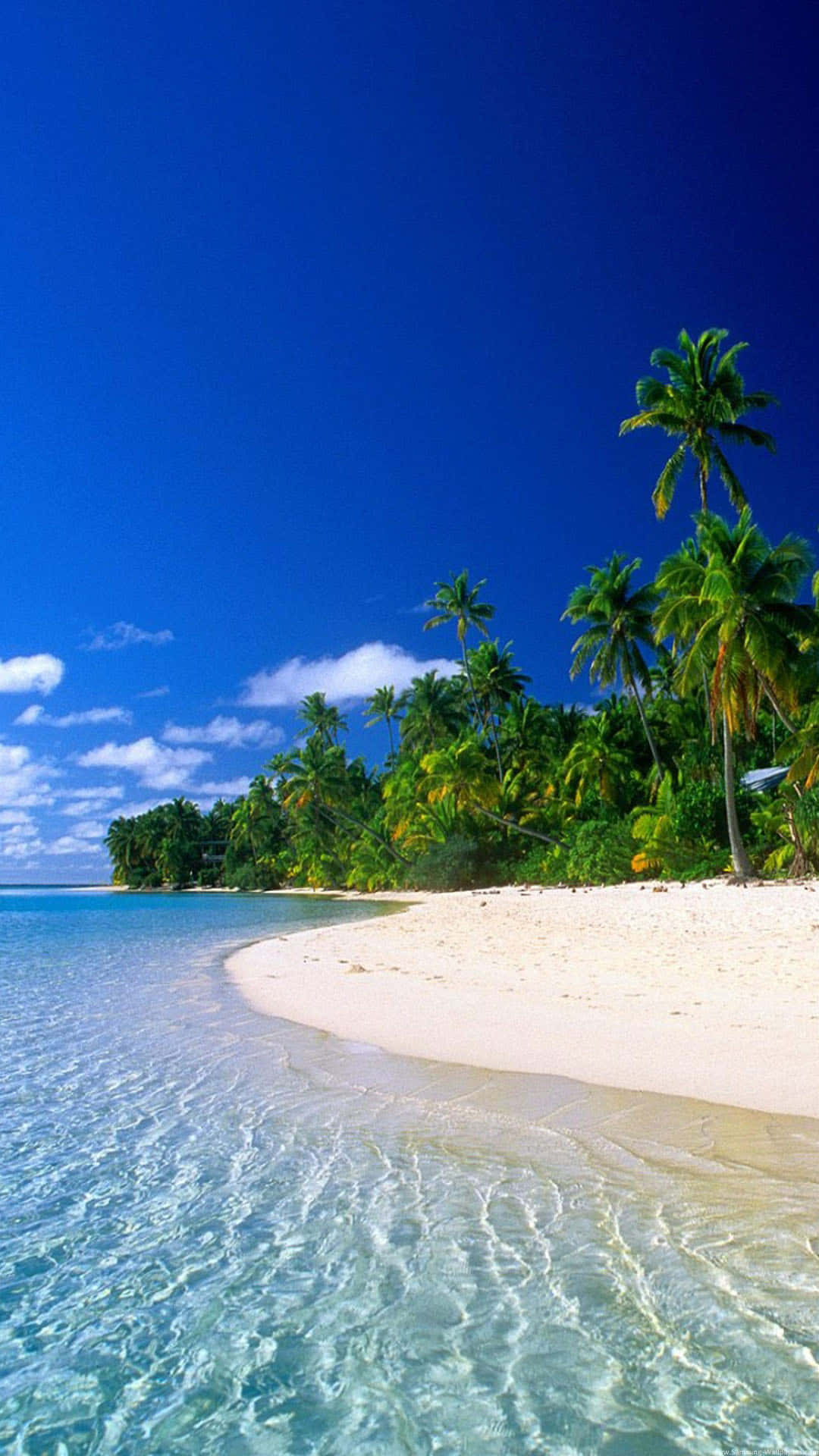 “take In A Tranquil Tropical Beach Scene.” Background