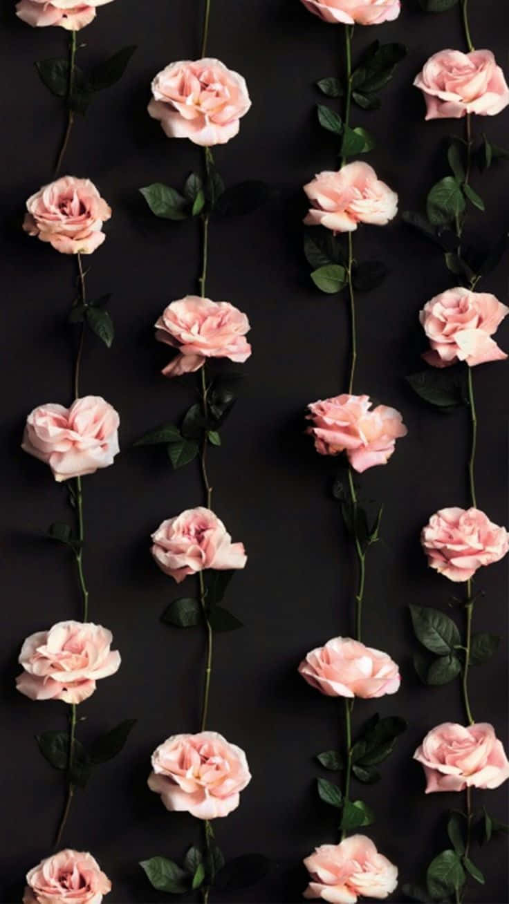 Take In The Beautiful Sight Of This Vibrant Pretty Flower Background