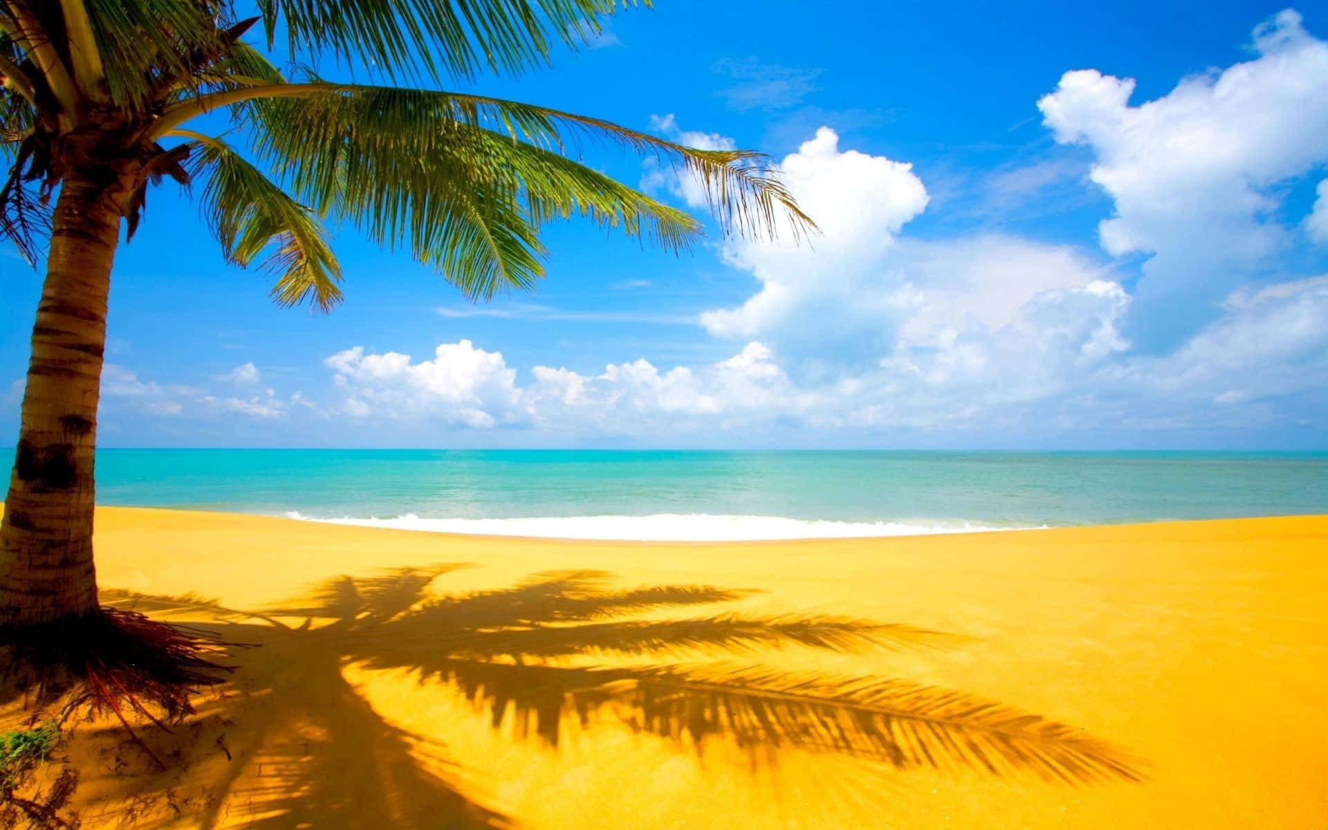 Take In The Beauty Of A Beach In Hawaii