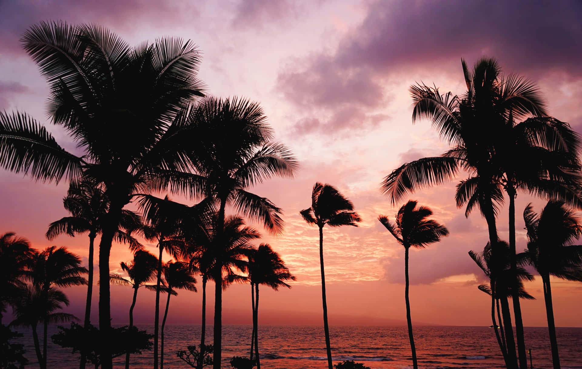 Take In The Beauty Of A Hawaiian Sunset Background