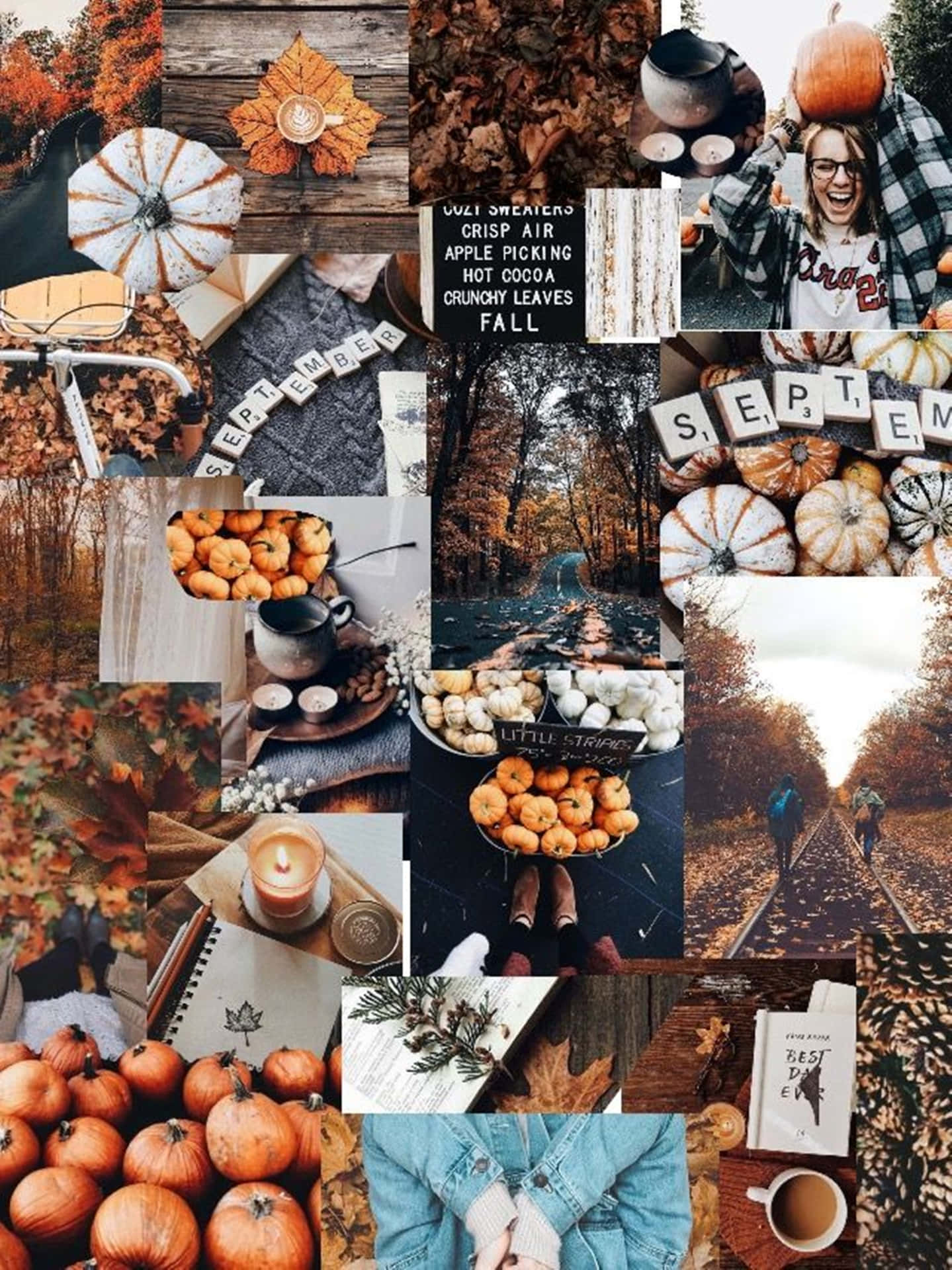 Take In The Beauty Of Autumn With These Four Magical Fall Scenes! Background