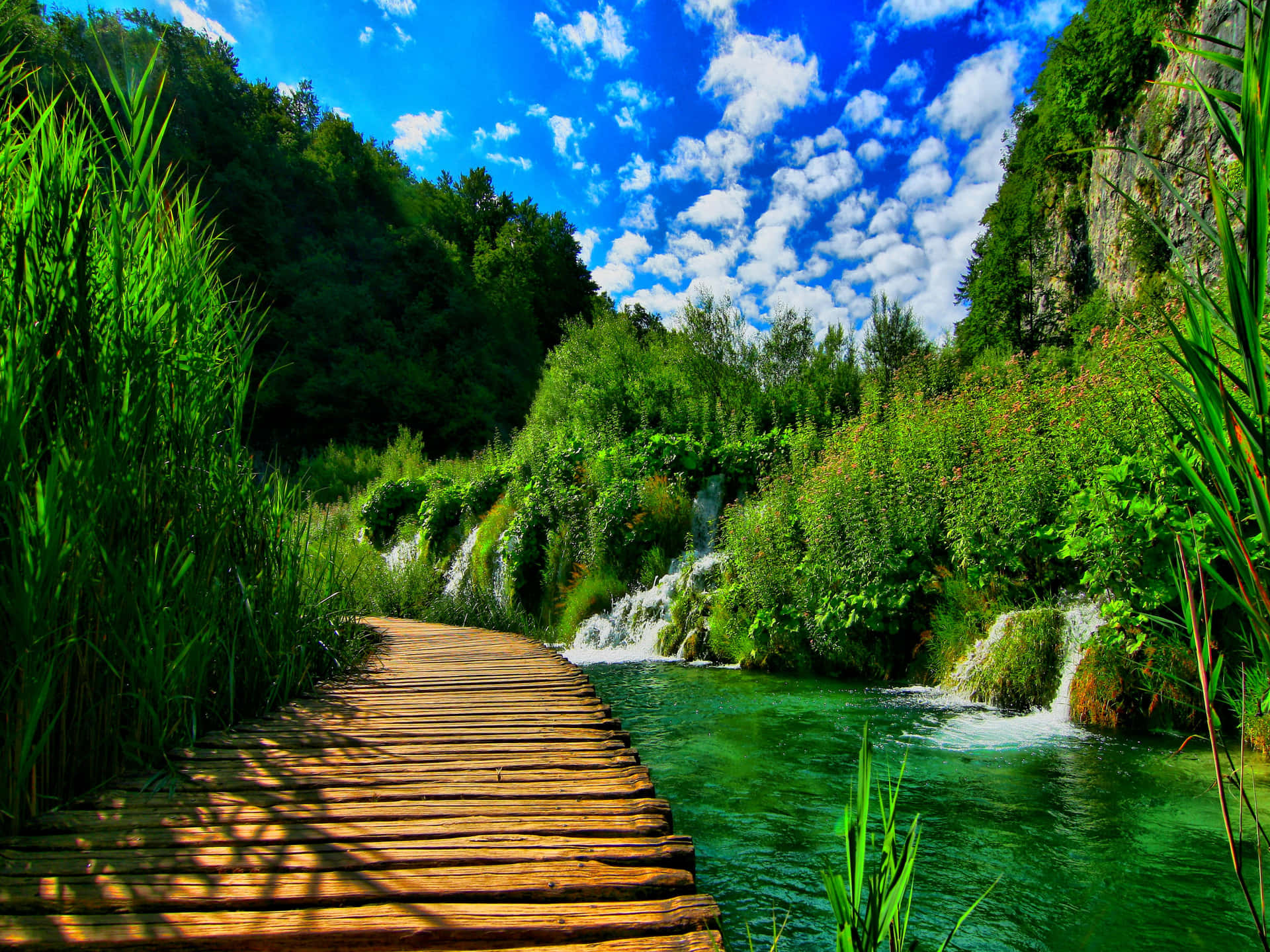 Take In The Beauty Of Nature From This Beautiful, Waterfront View. Background