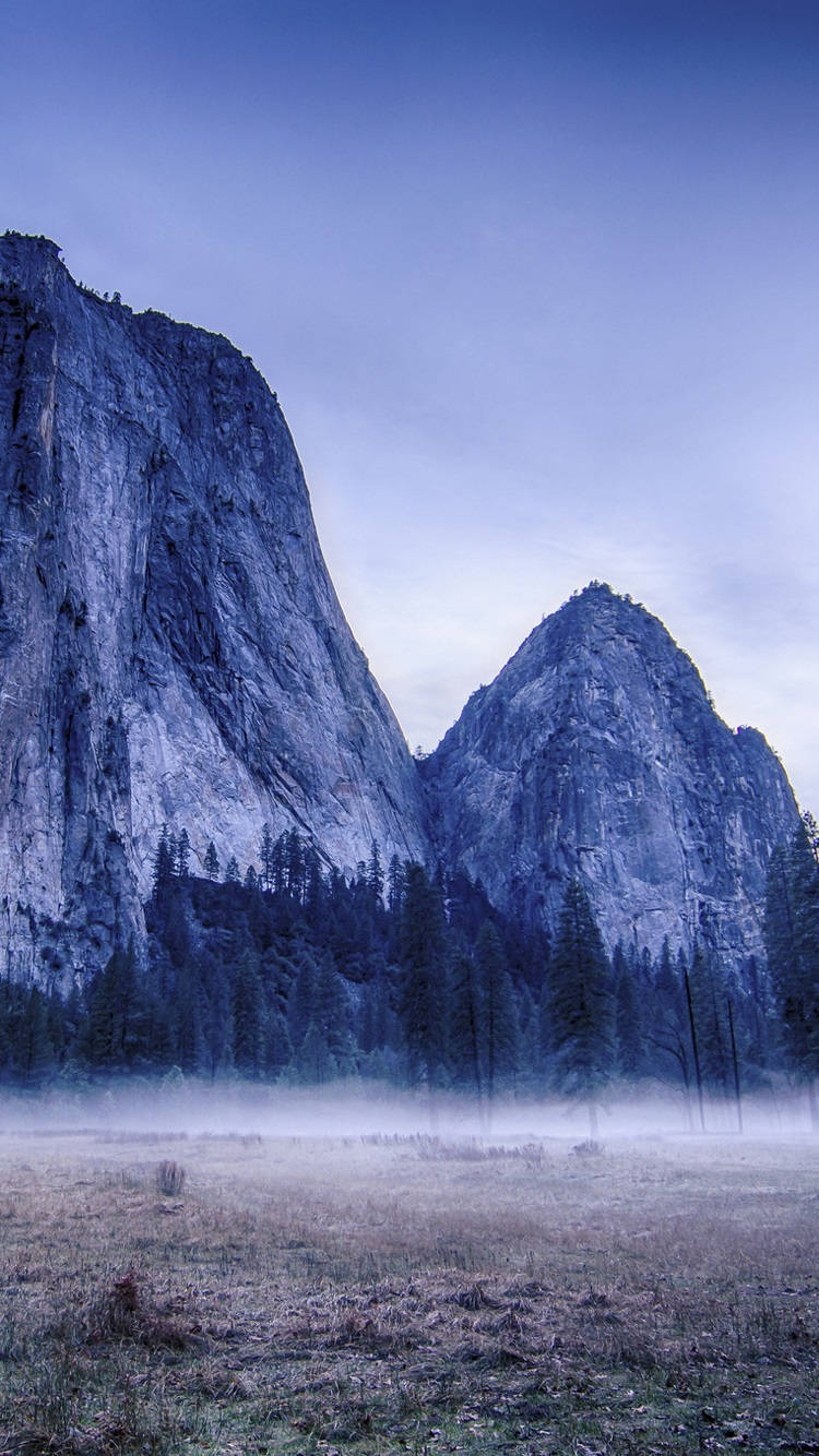 Take In The Beauty Of Yosemite National Park On Your Iphone Background