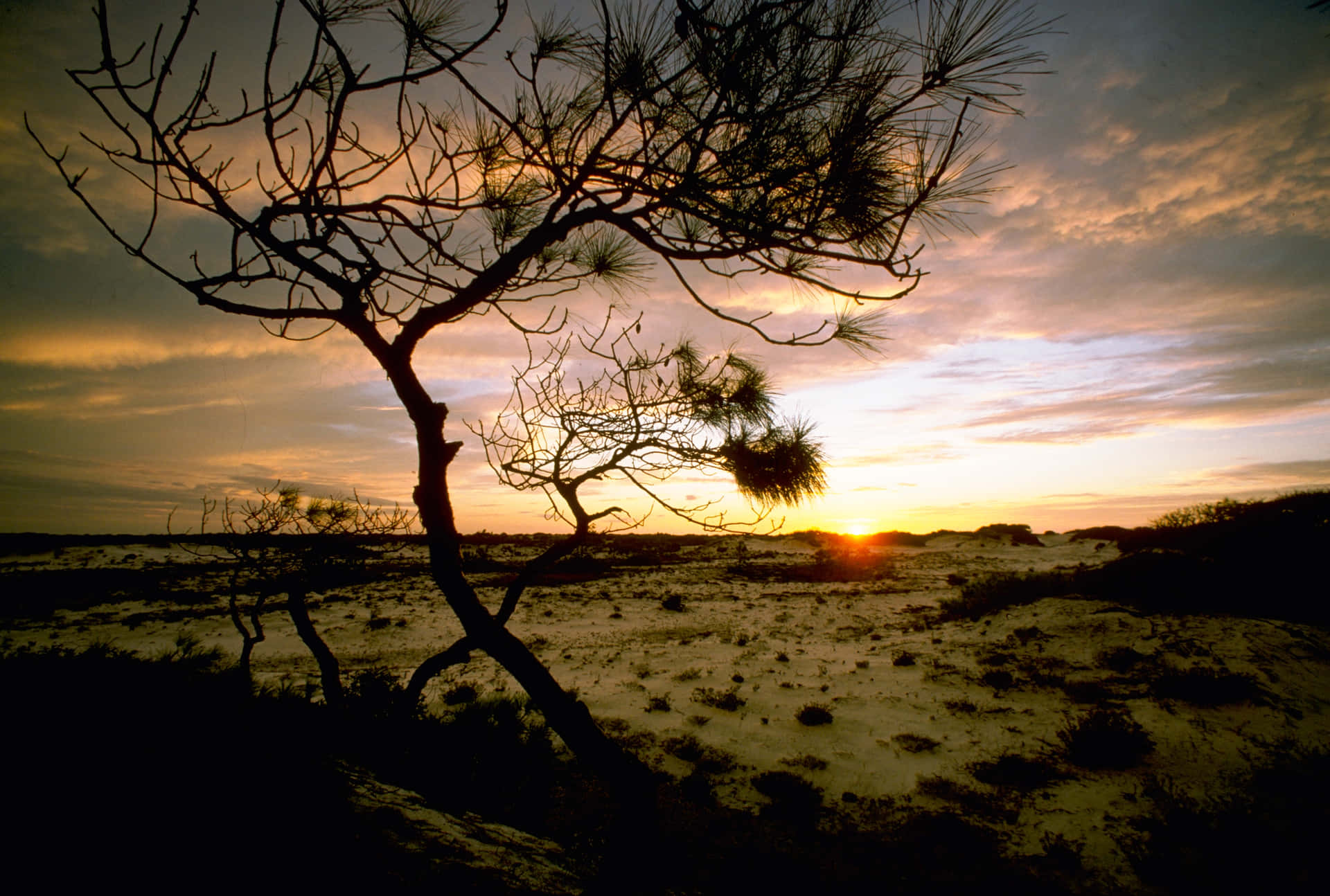 Take In The Mesmerizing Scenery Of Mississippi Background