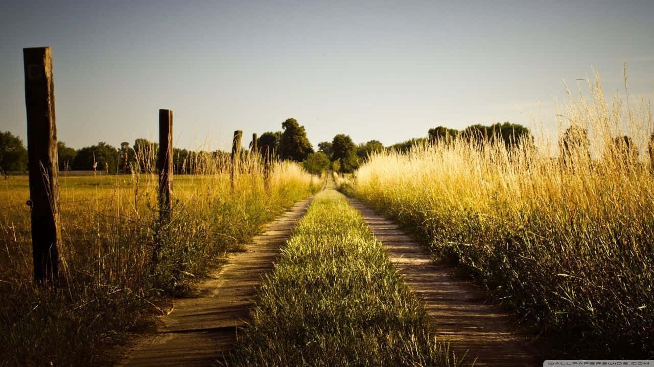 Take In The Natural Beauty Of The Open Countryside Background