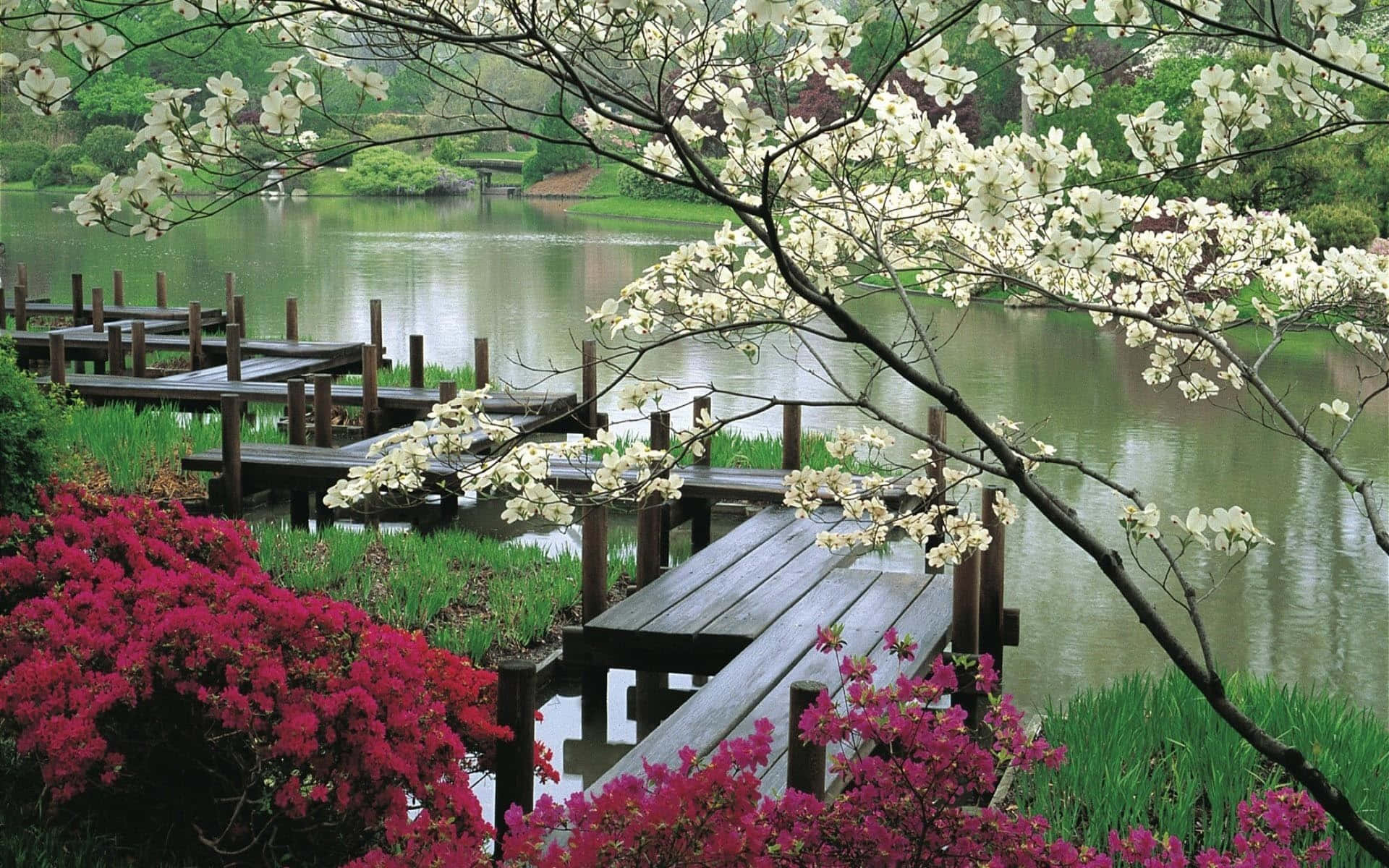 Take In The Serene Beauty Of Nature. Background