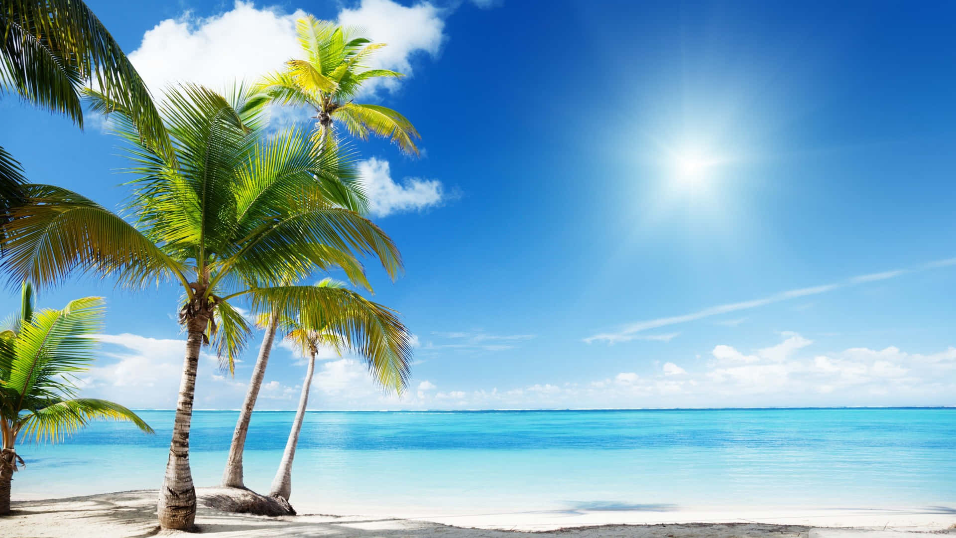 Take In The Serenity Of A Tropical Beach Paradise Background