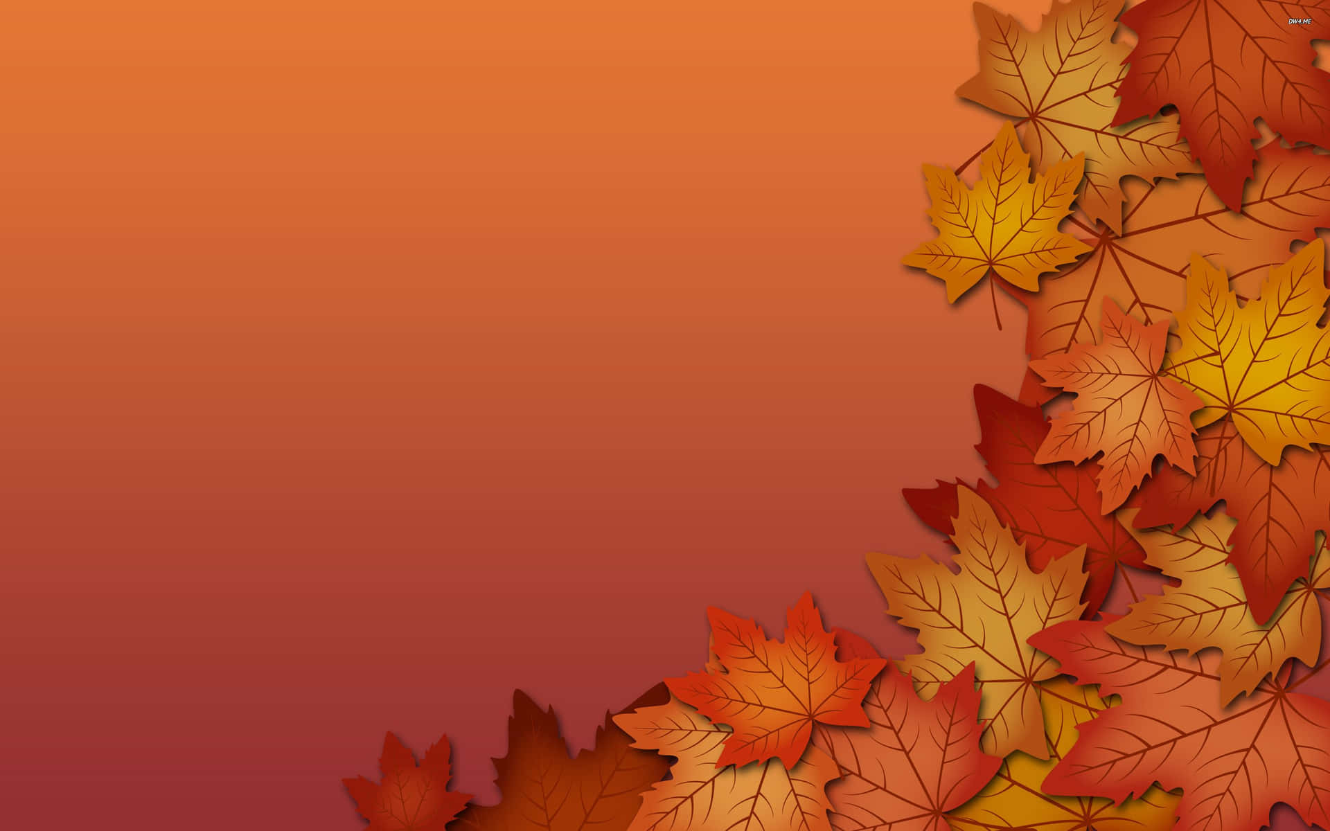 “take In The Vibrant Fall Colors” Background