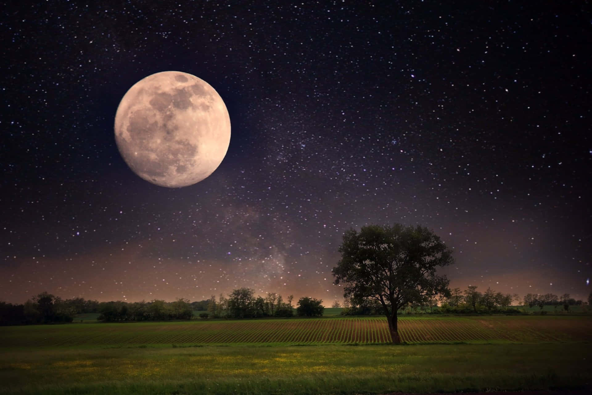 Take Some Time To Reflect In The Moonlit Night Background