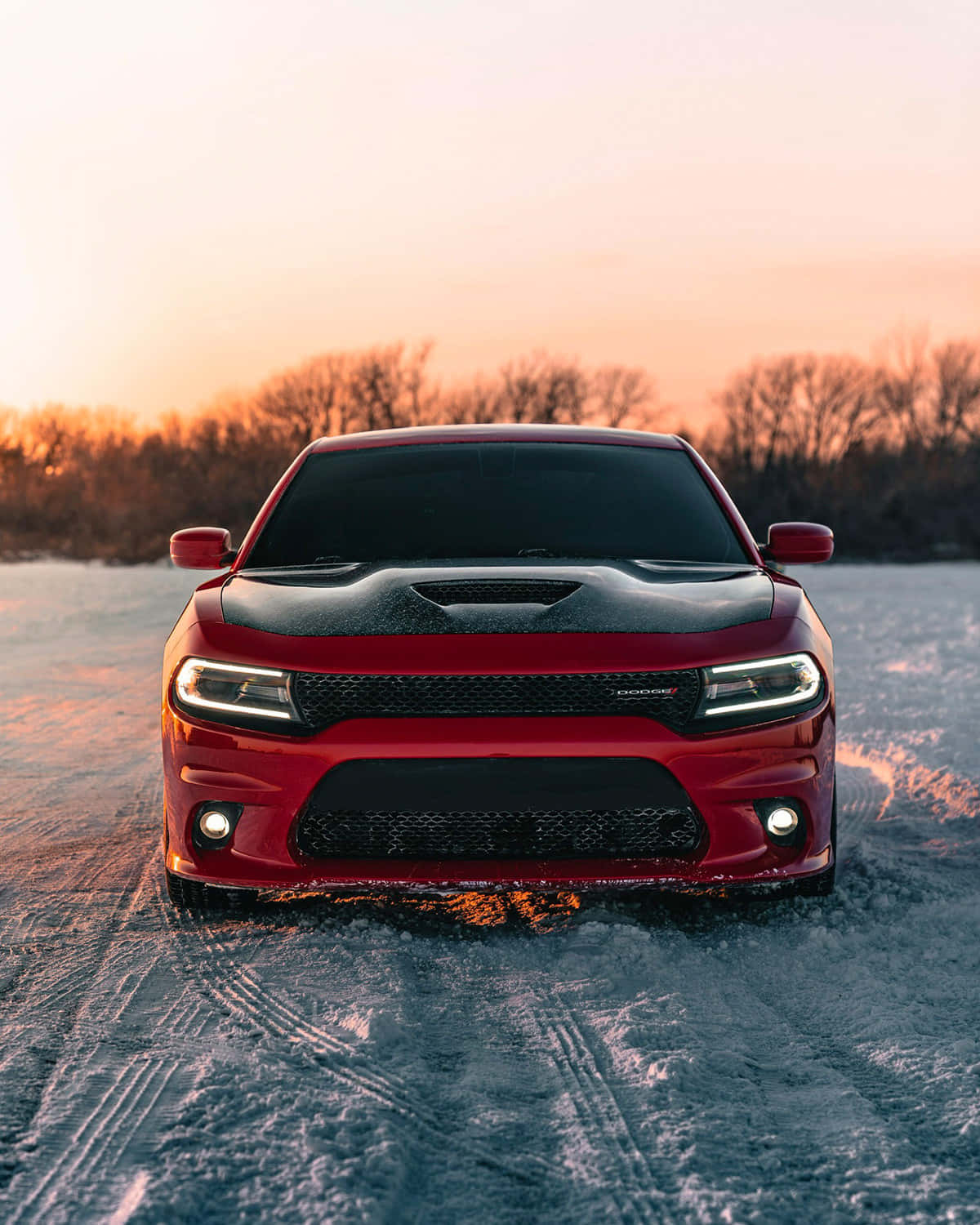 Take The Luxury Of A Dodge Charger With You Background
