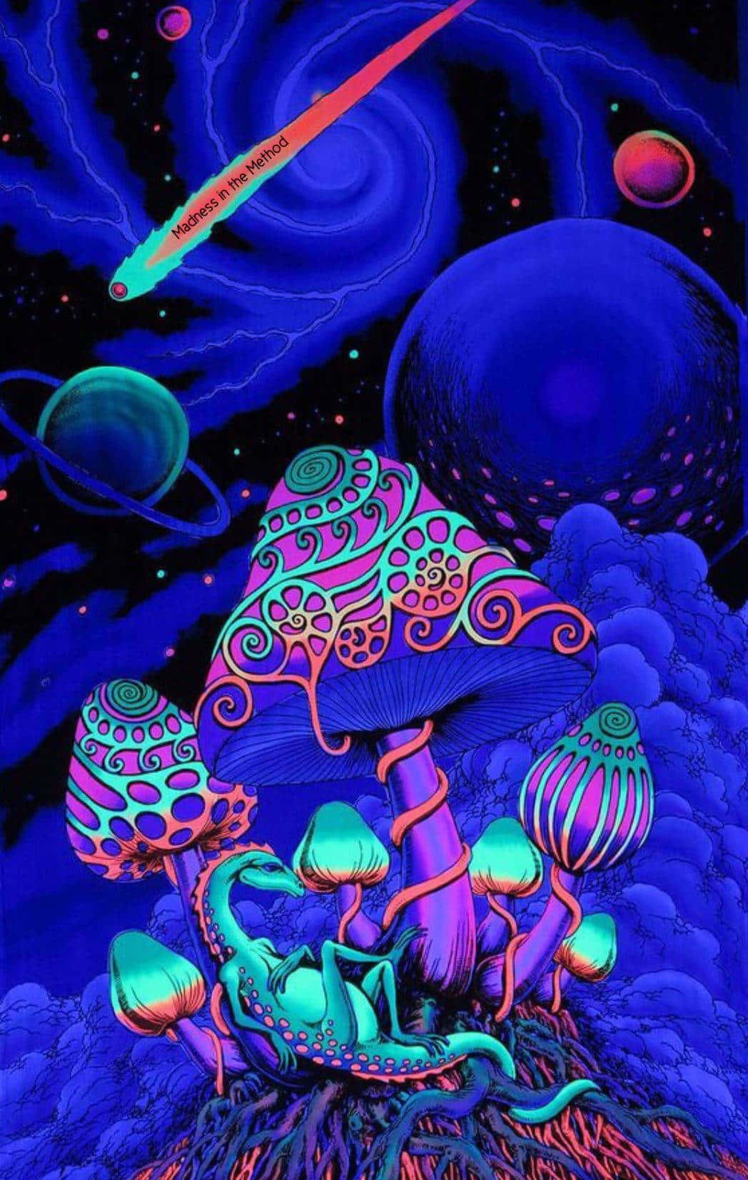 “take The Trip - Explore The Colours Of The Trippy Mushroom”