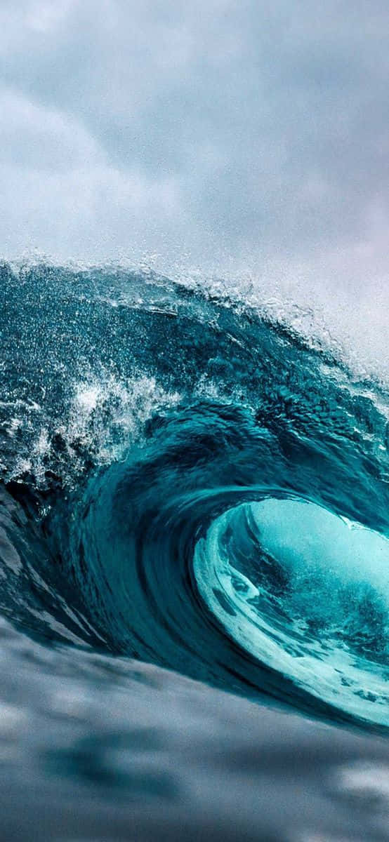 Take The Wave Anywhere - Surfing On An Iphone Background