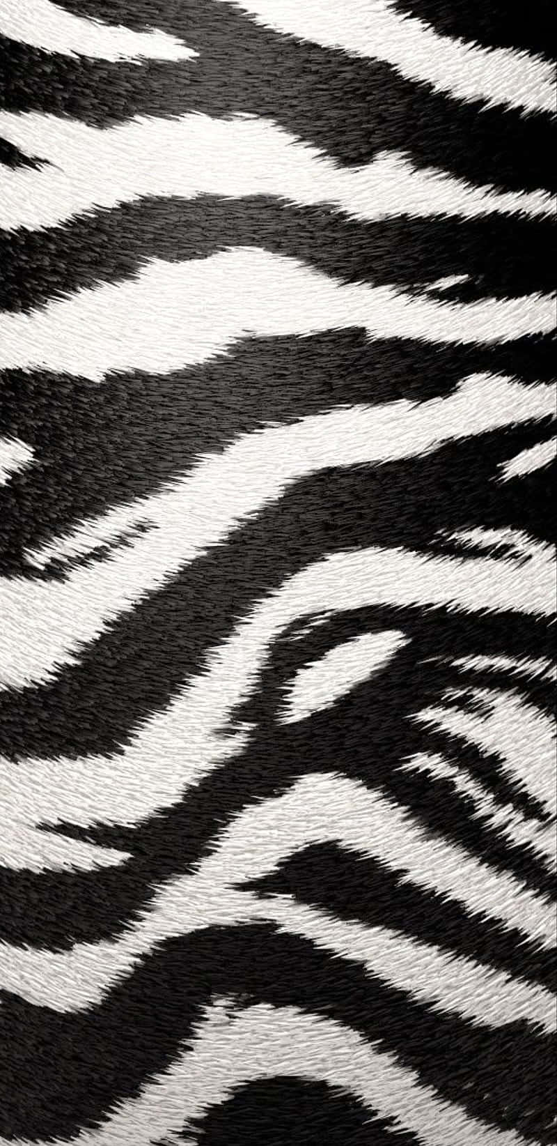 Take Your Style To The Next Level With Black And White Animal Print Background