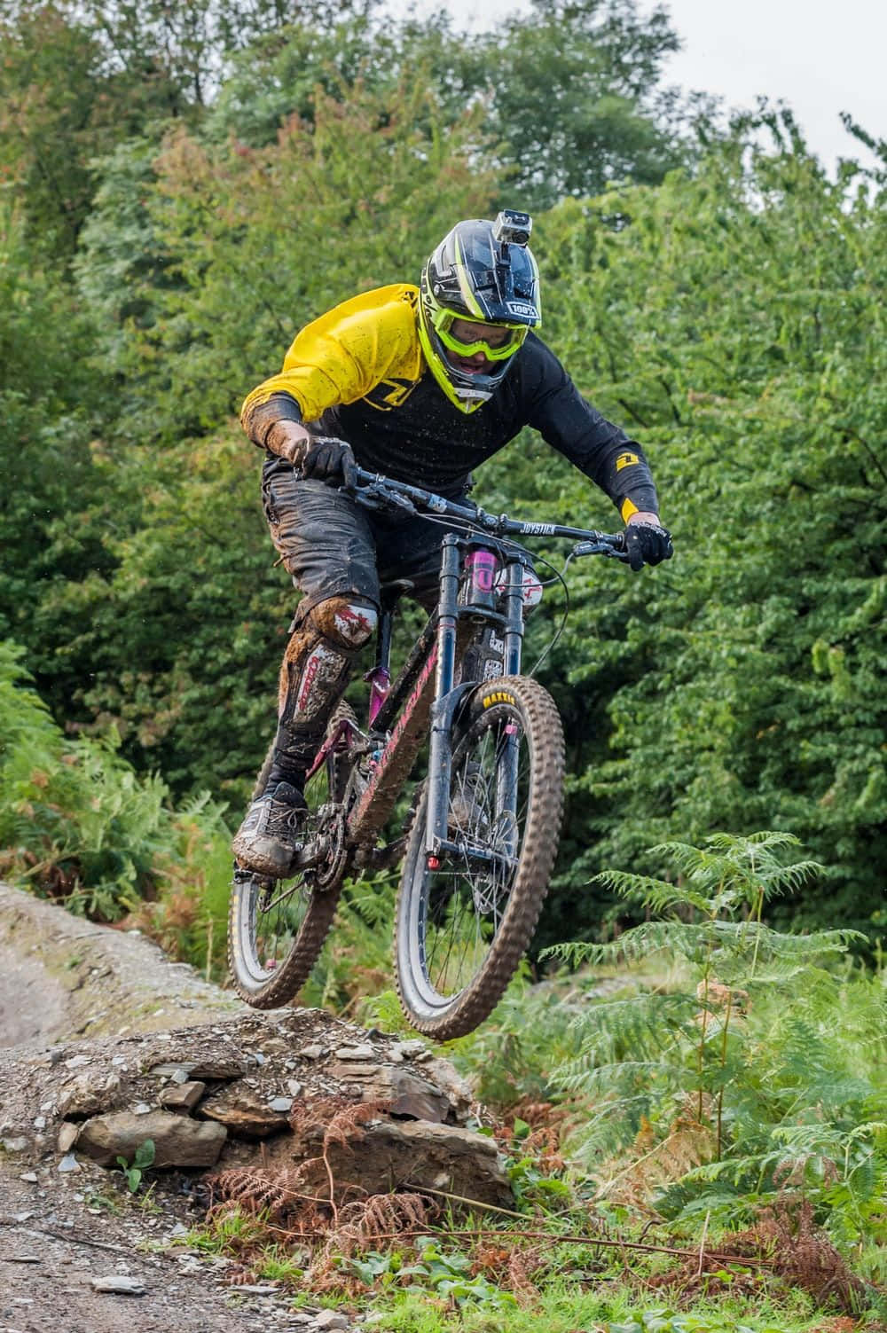 Taking On The Trails Background