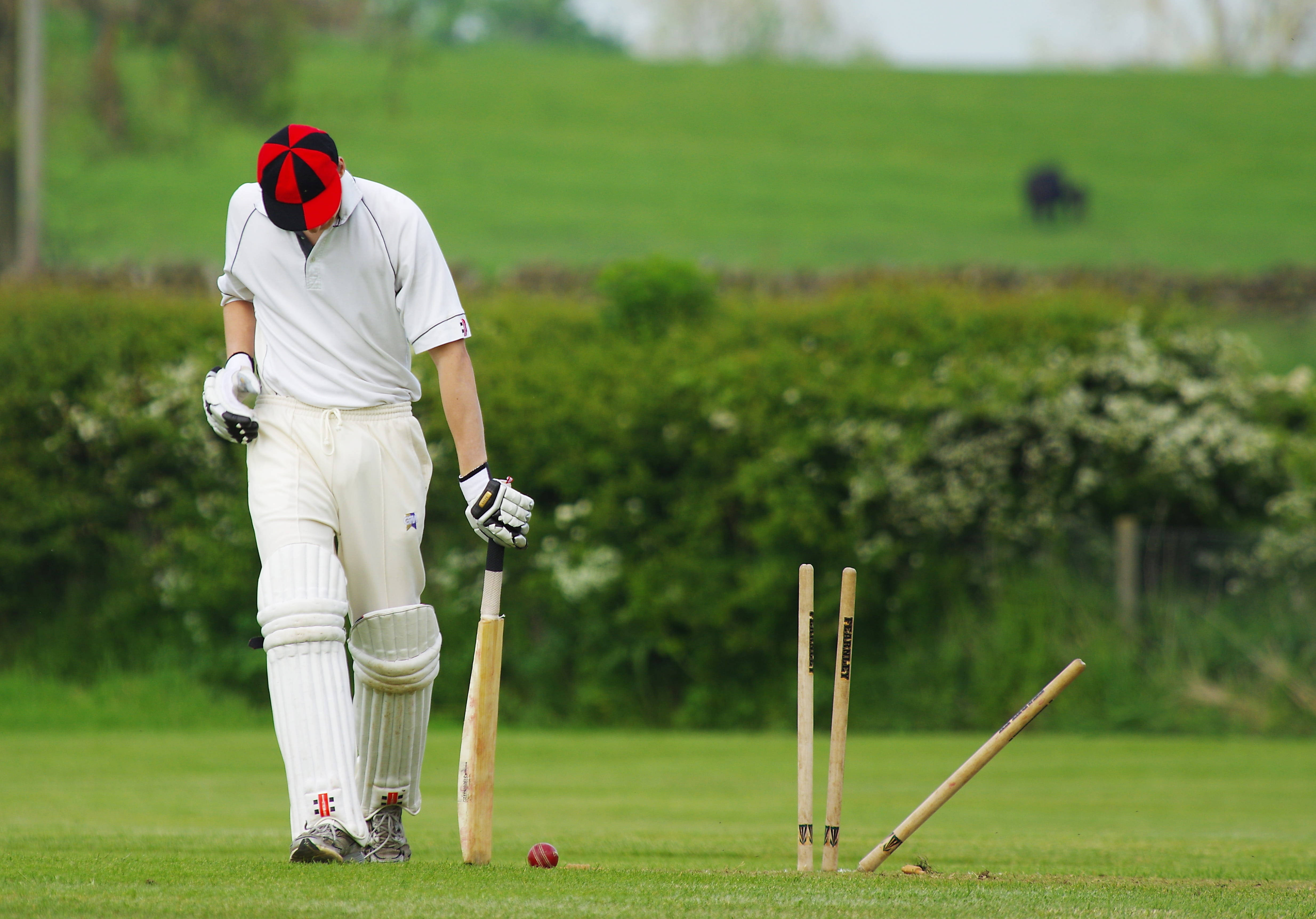 Tall All-white Cricket 4k Background