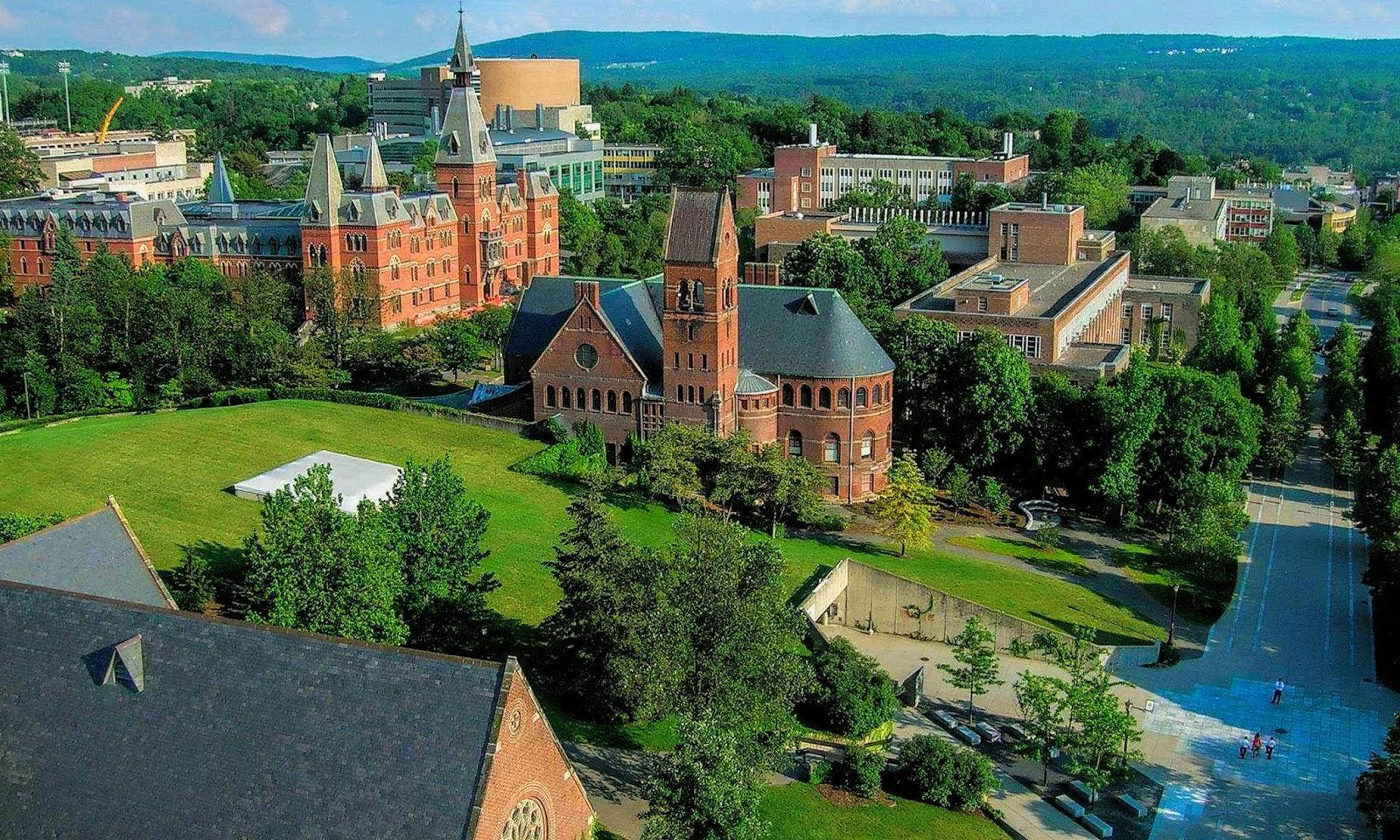 Tall Princeton University Halls Background