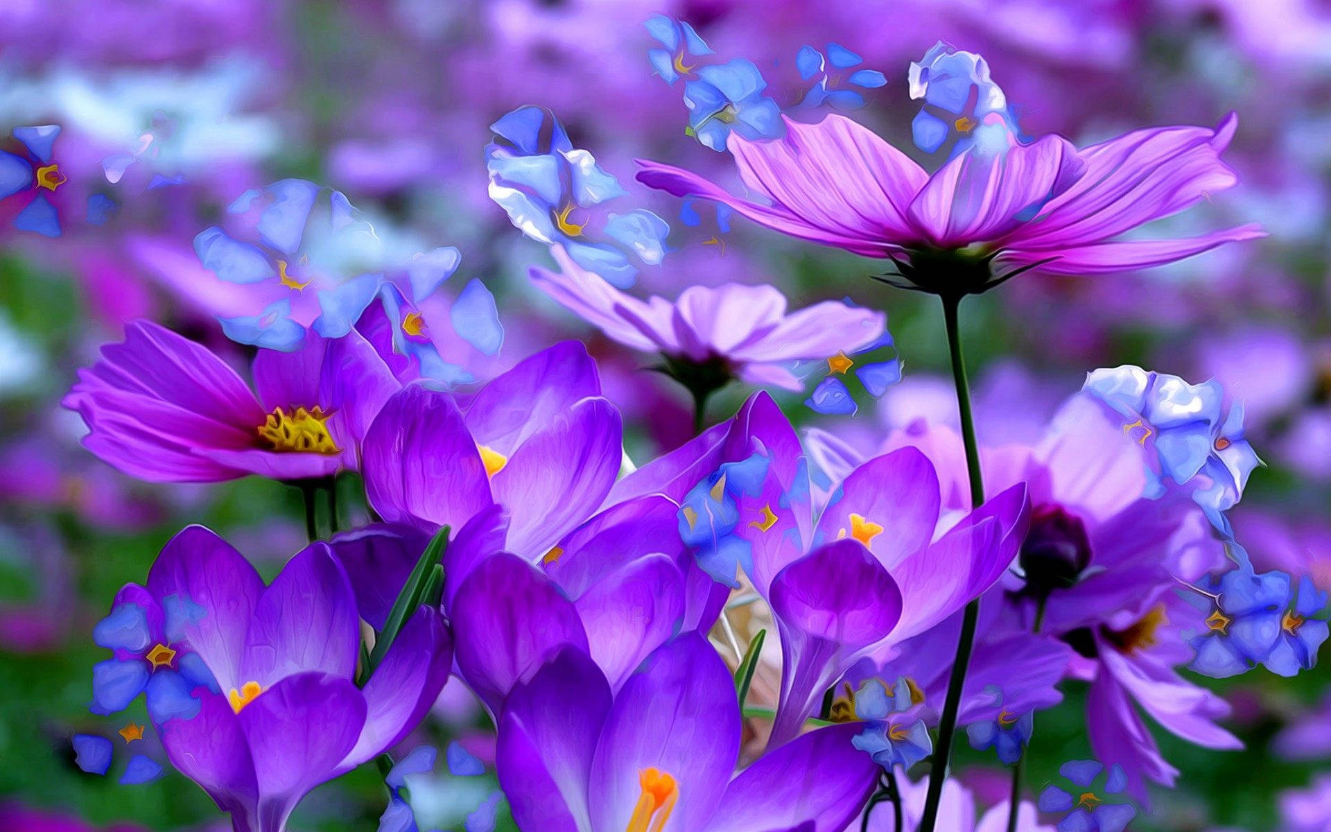 Tall Purple Flower Desktop