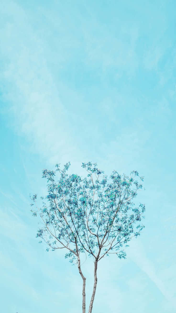 Tall Tree Pastel Blue Solid Background