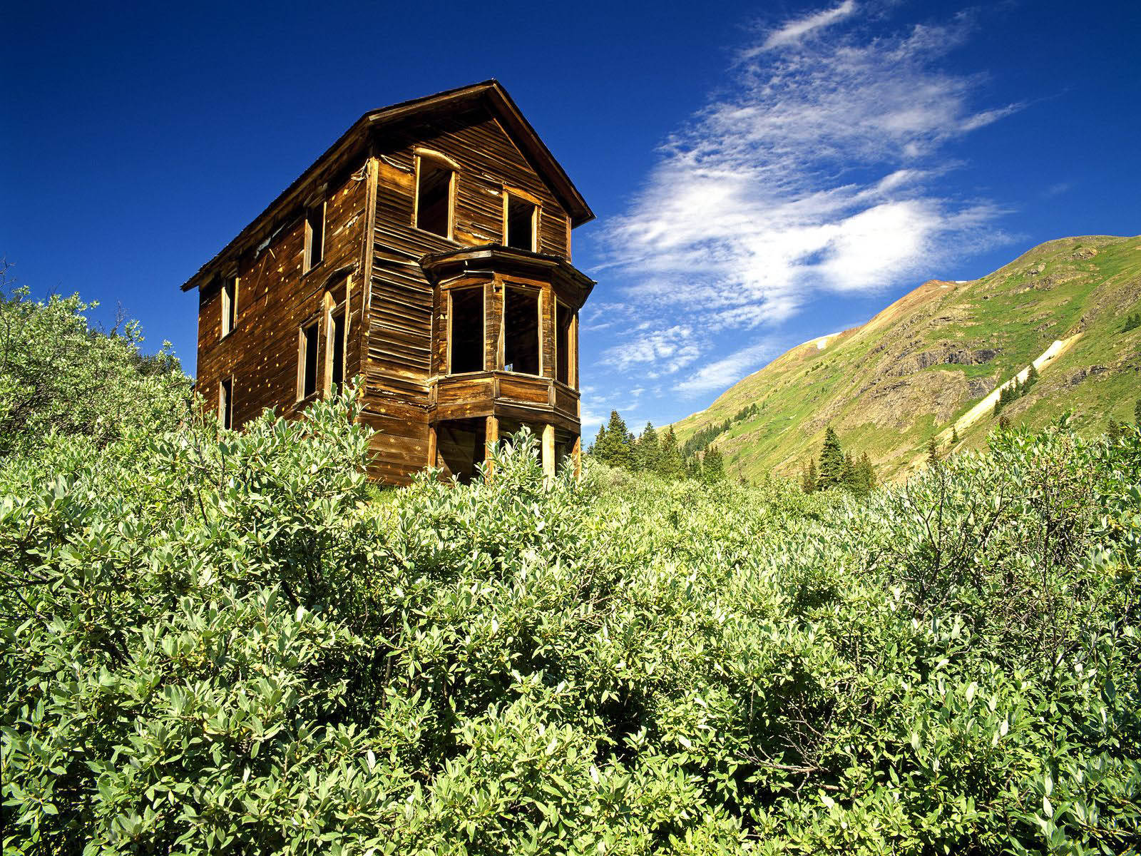 Tall Wooden House Background