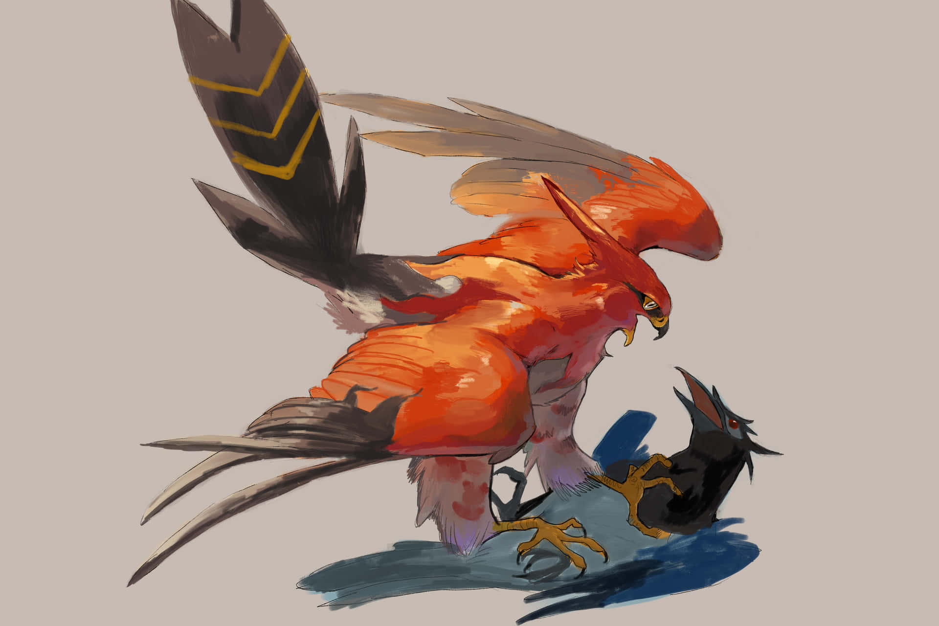 Talonflame And Corvisquire Hd Background