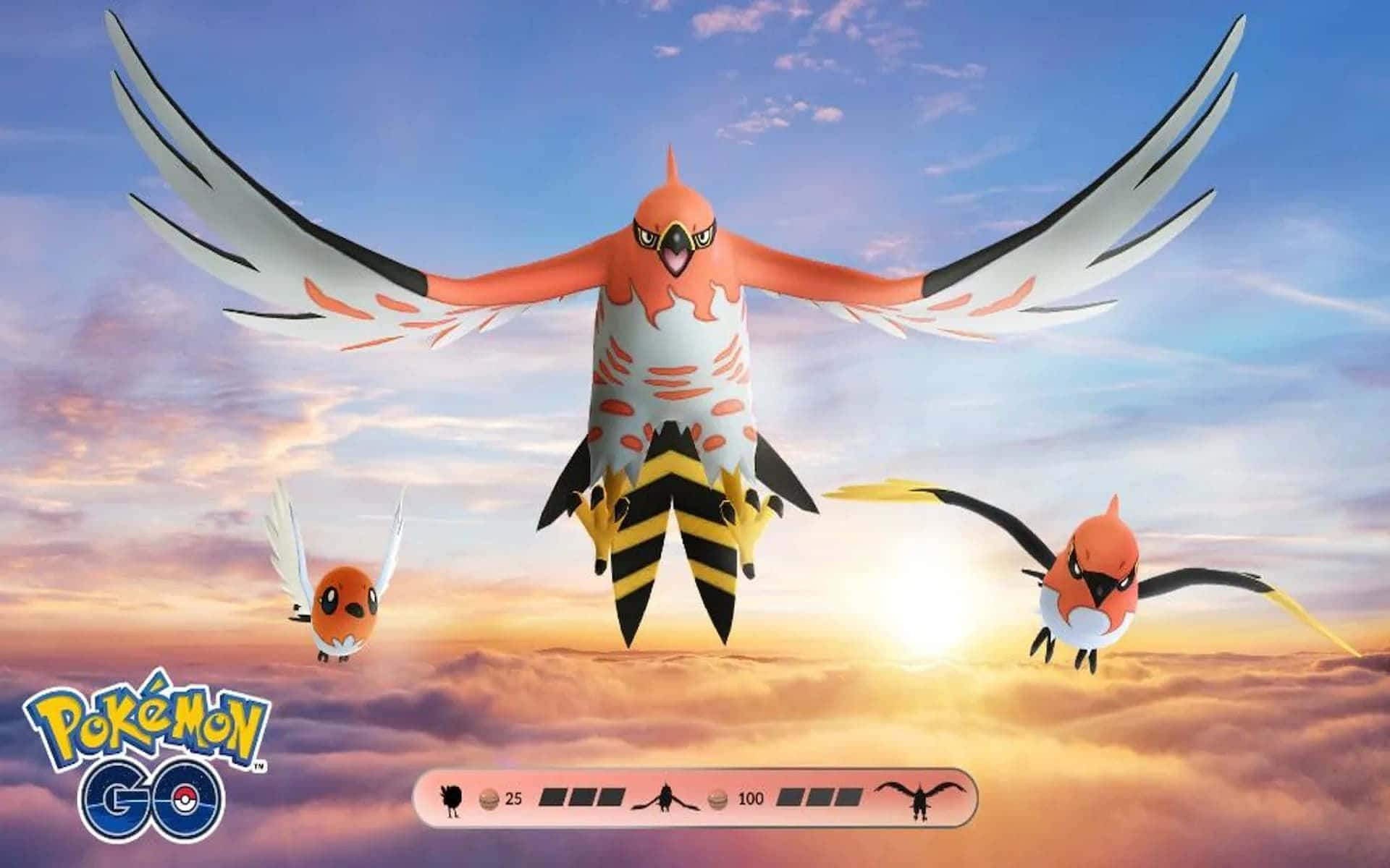 Talonflame Evolution Pokemon Go Background
