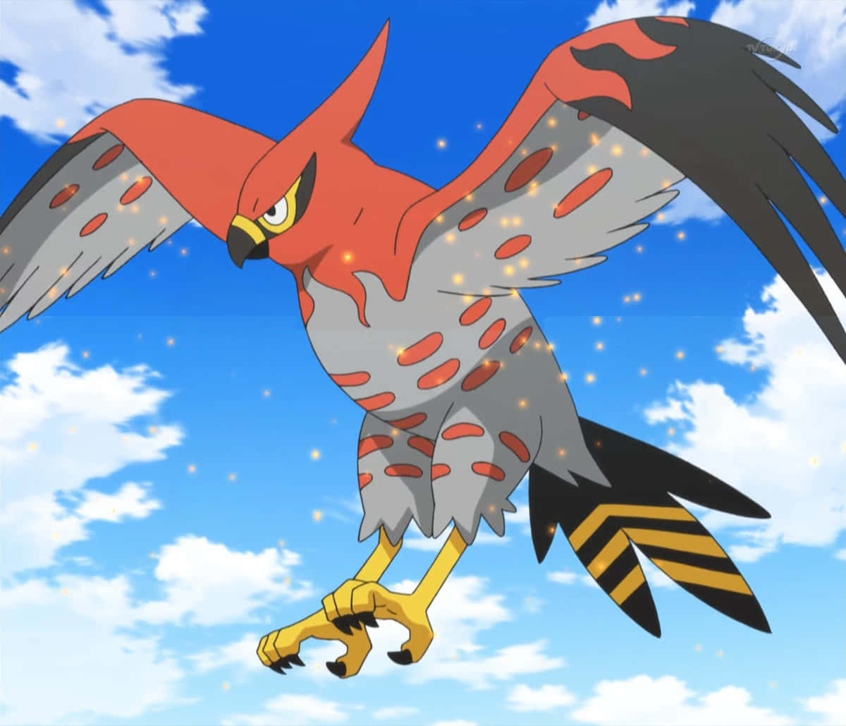 Talonflame Flying Pokemon