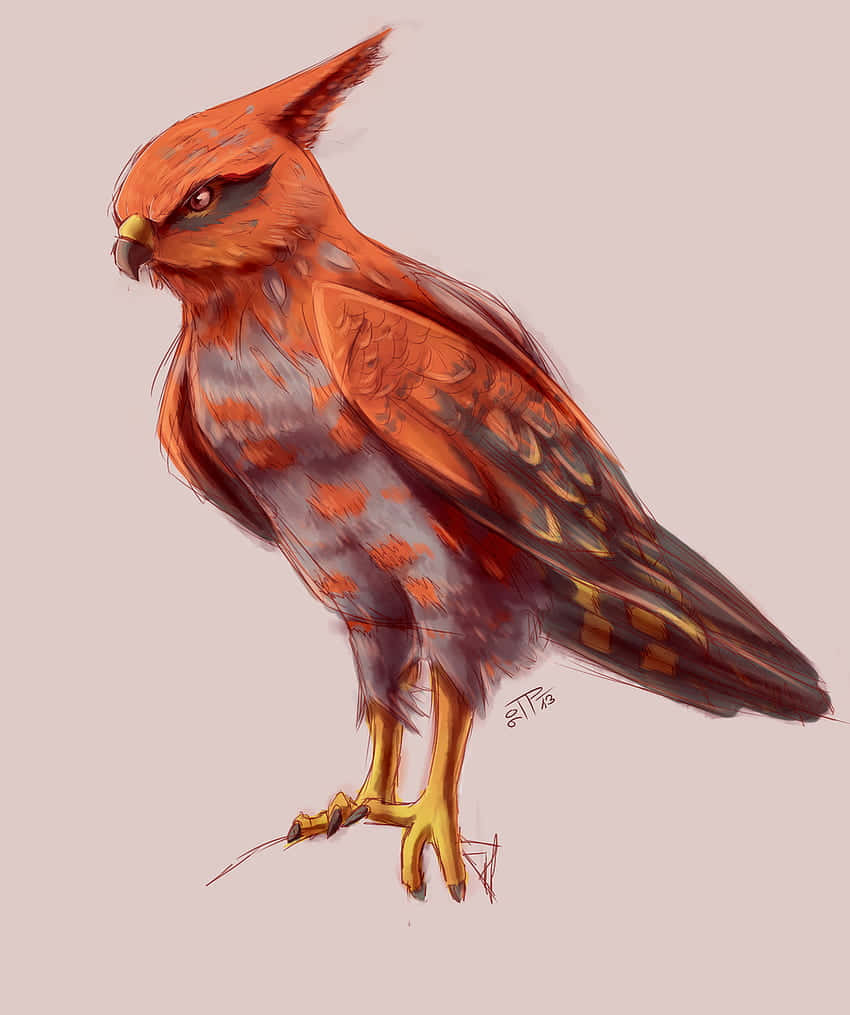 Talonflame Pokemon Artwork Background