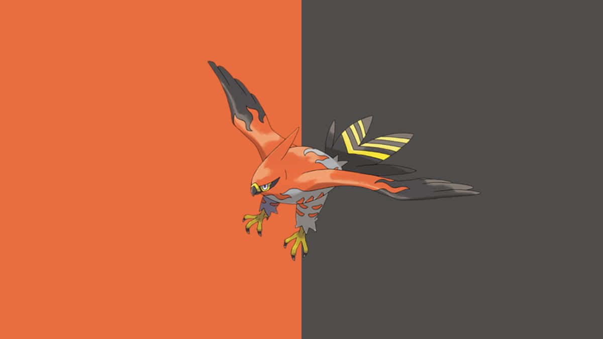 Talonflame Pokemon Artwork Background