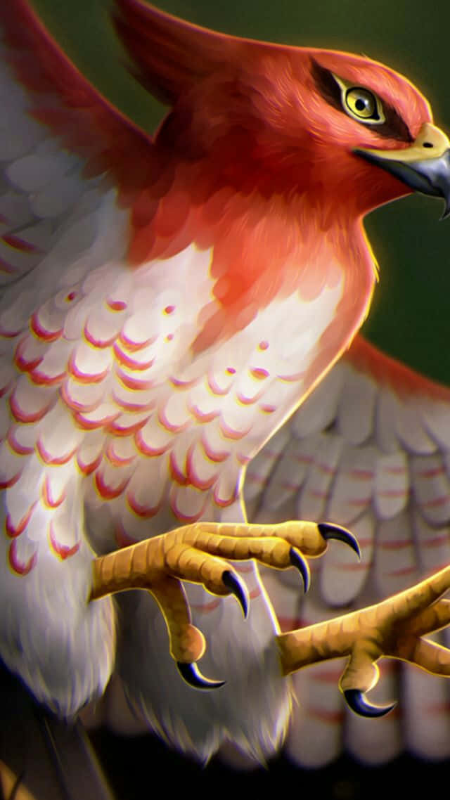 Talonflame Pokemon Artwork Background