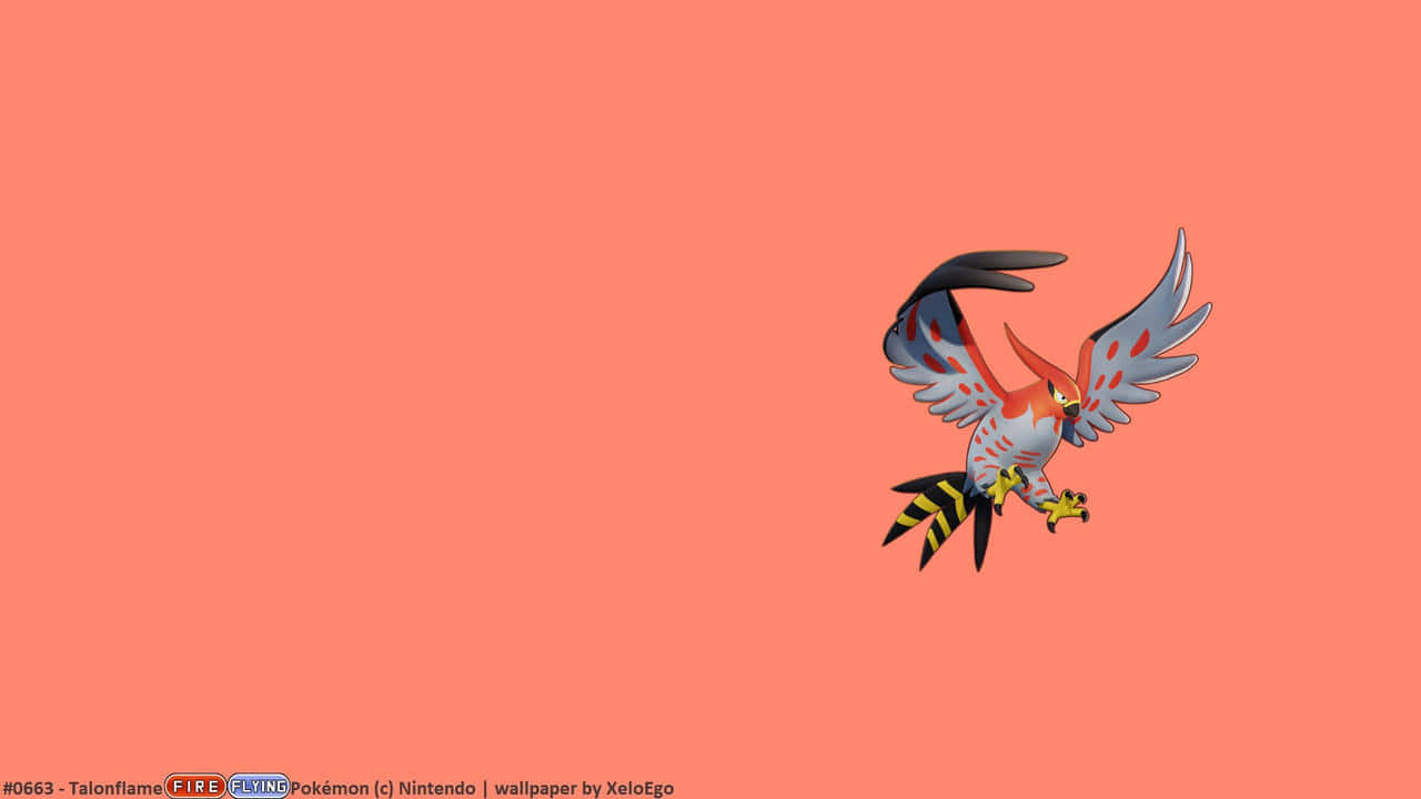 Talonflame Pokemon Fire Flying Wallpaper Background