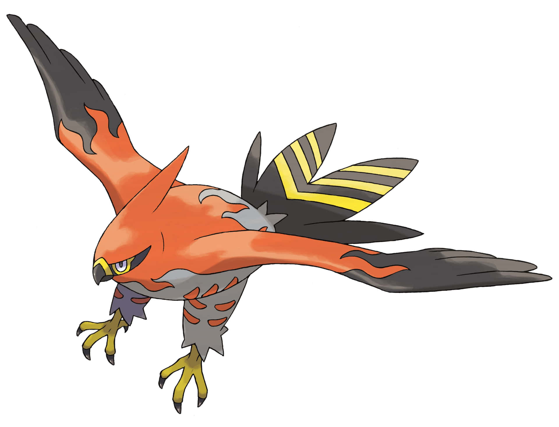 Talonflame Pokemon Illustration Background