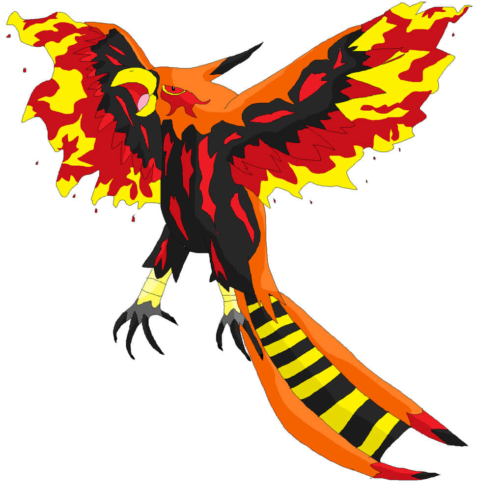 Talonflame Pokemon Illustration