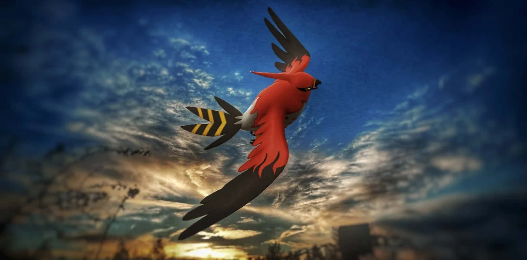 Talonflamein Evening Sky