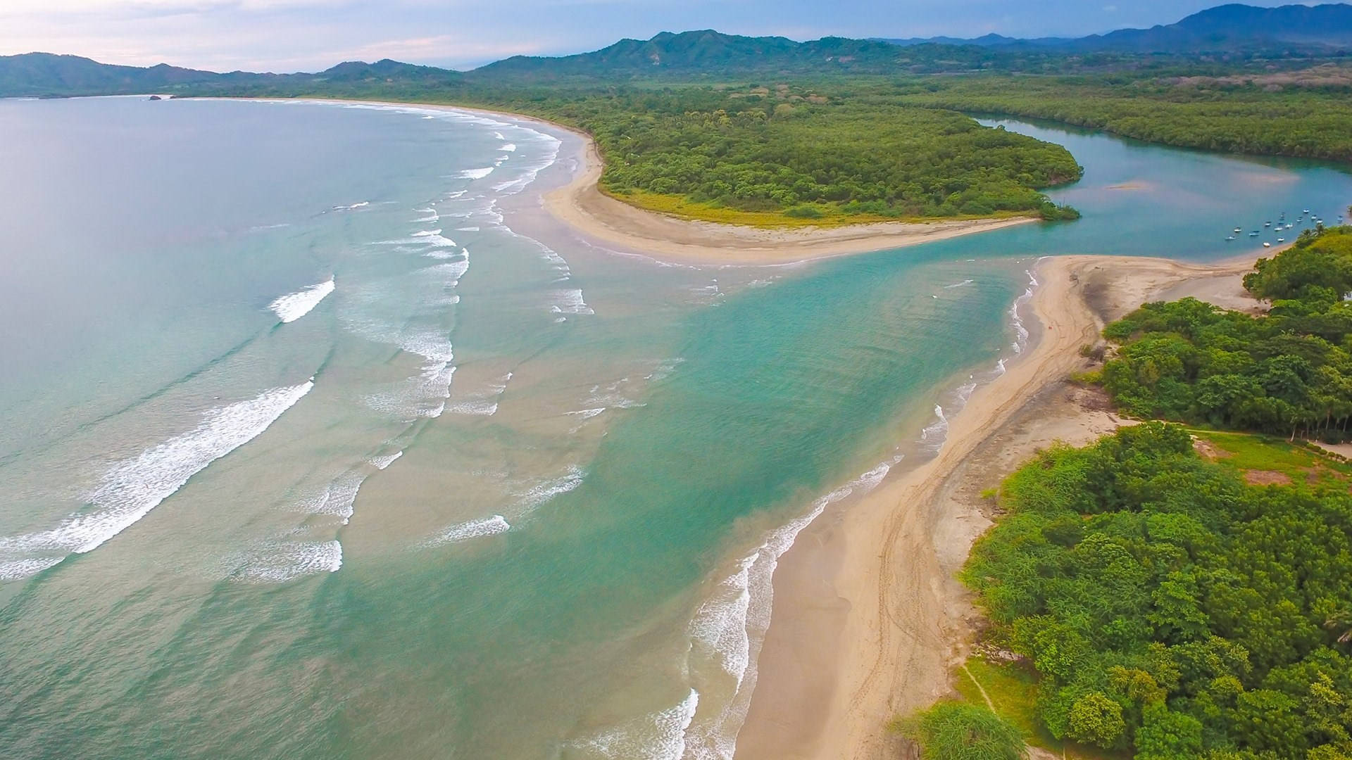 Tamarindo Wildlife Refuge Costa Rica Background