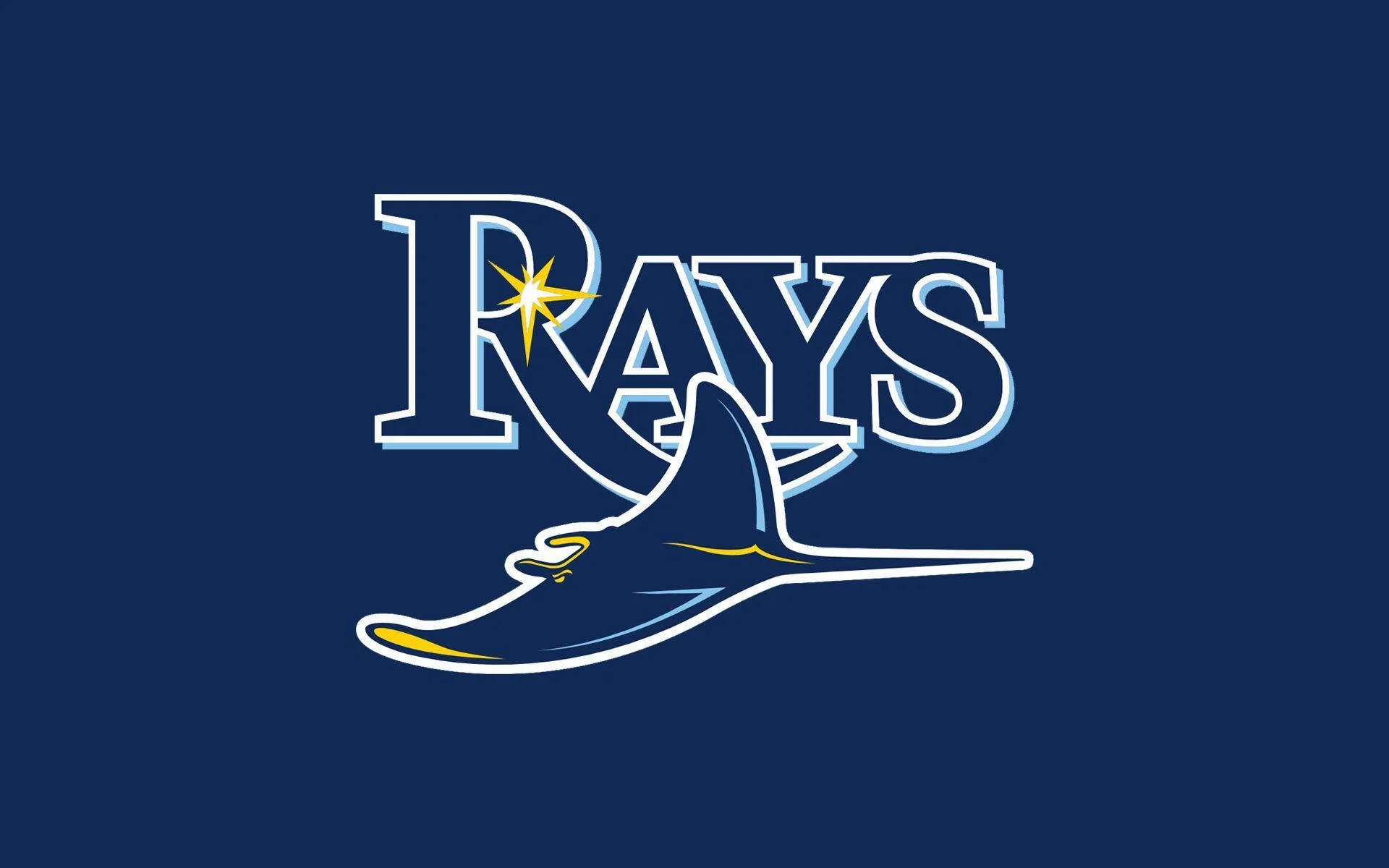 Tampa Bay Rays Banner
