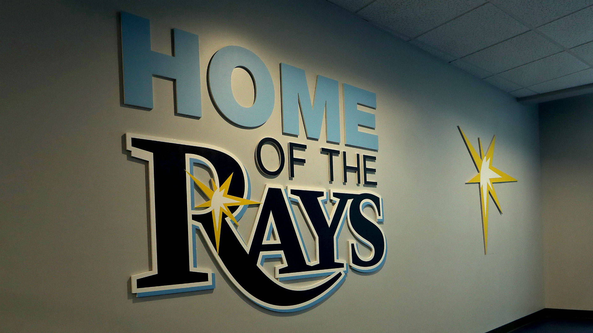 Tampa Bay Rays Baseball Team Wall Background