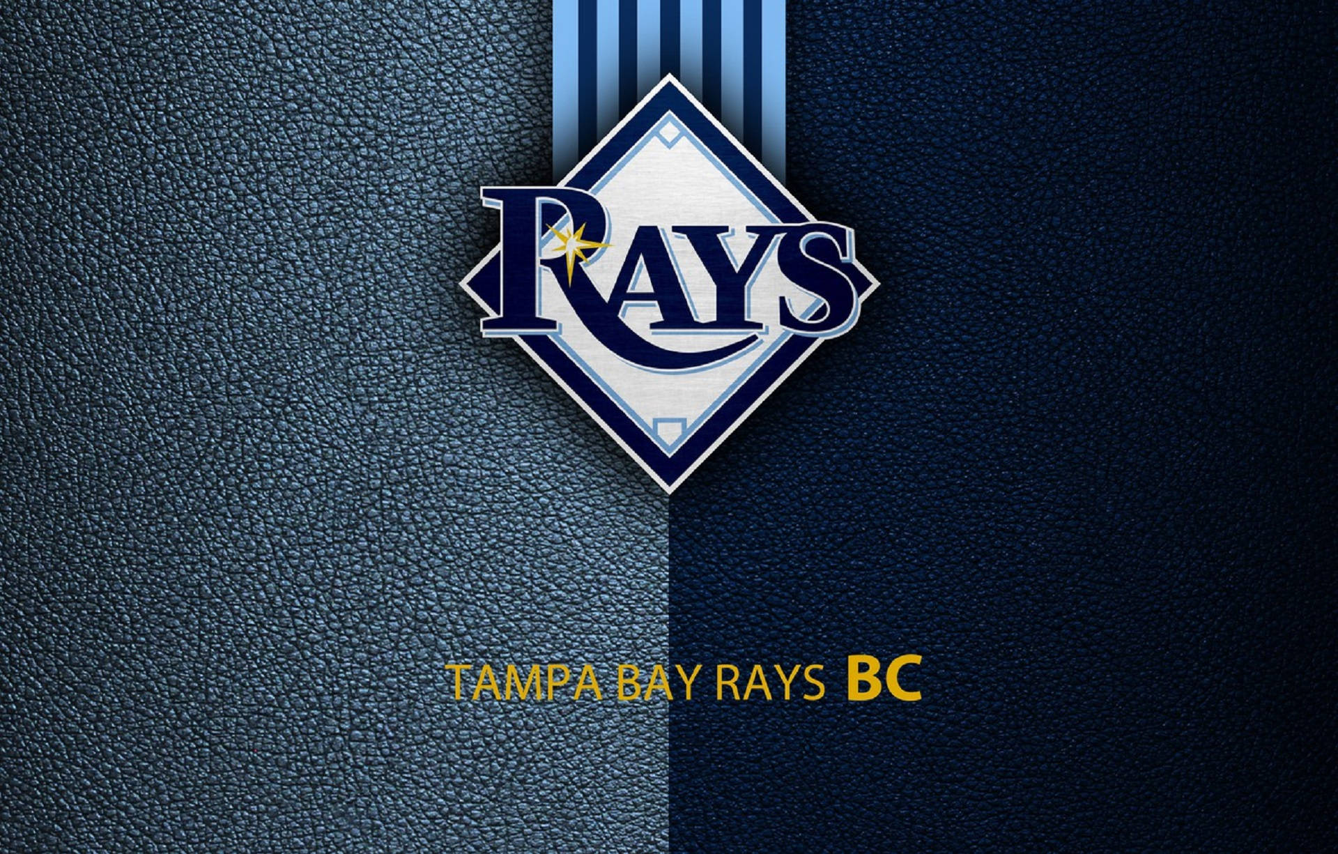 Tampa Bay Rays Blue Leather Logo Background