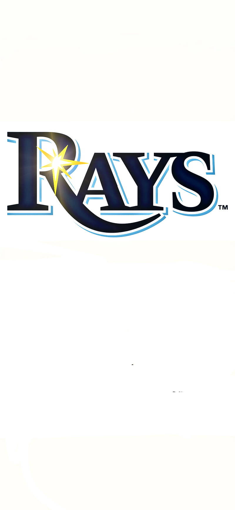 Tampa Bay Rays In White Background