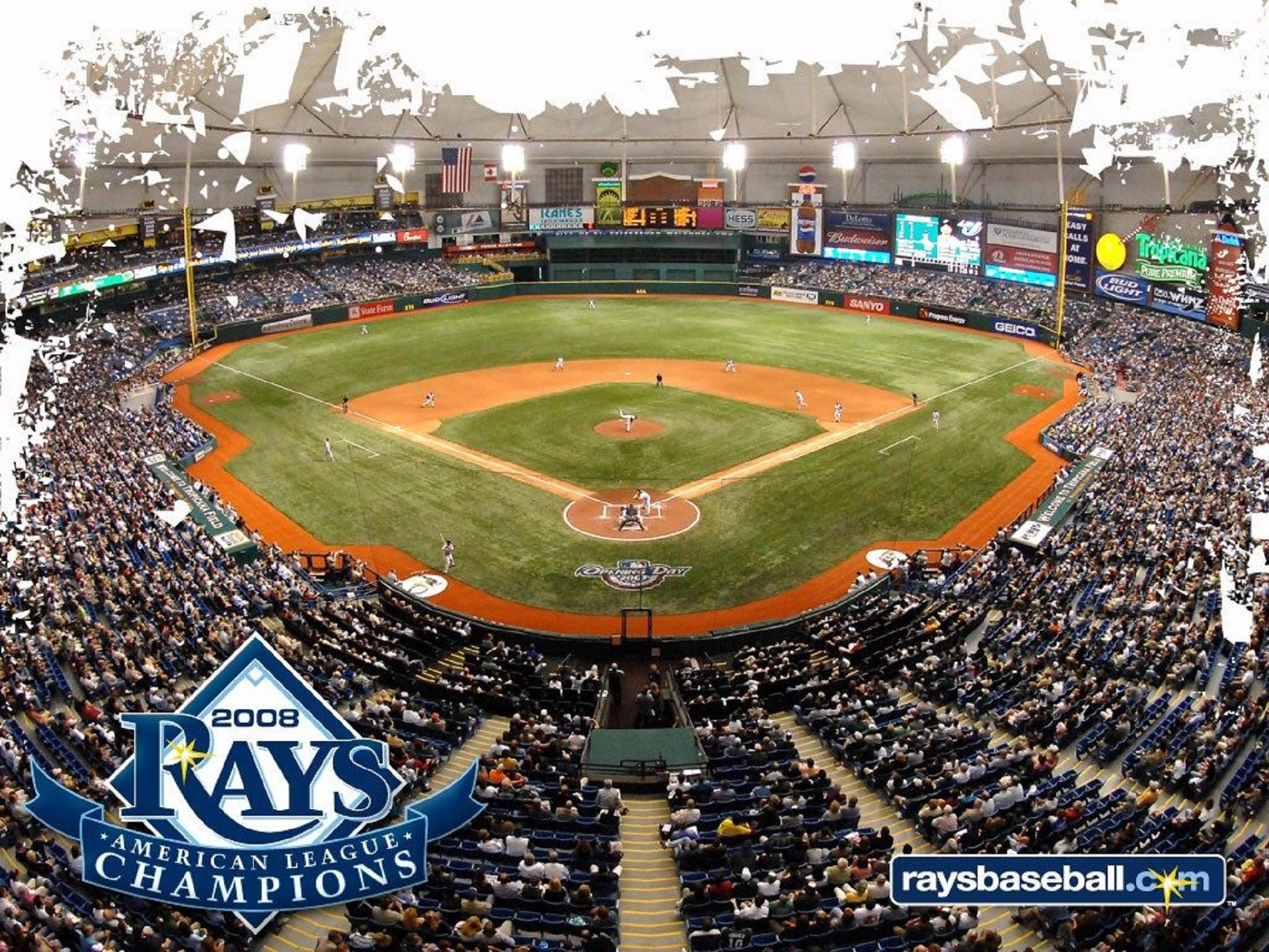 Tampa Bay Rays League Champion Poster